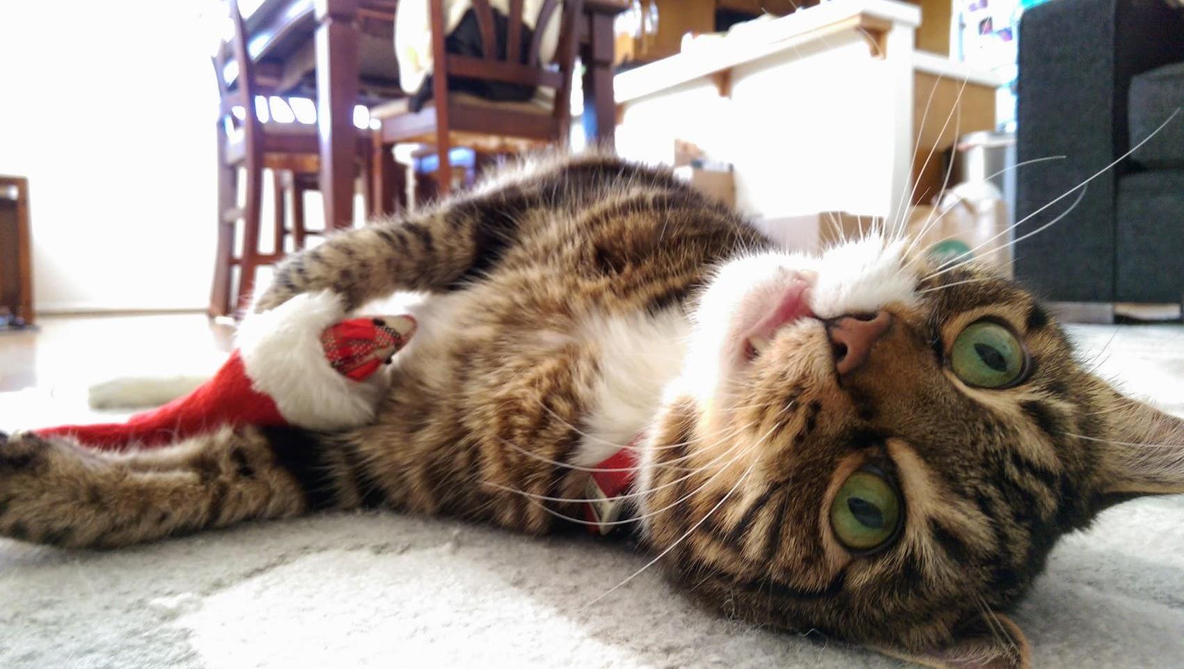 When That Nip Hits