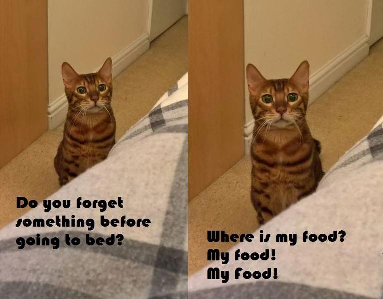 Where Is My Food