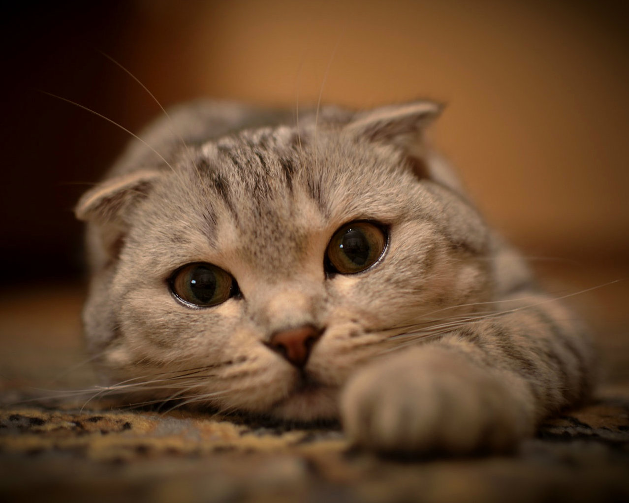 Why Youre So Sad Today