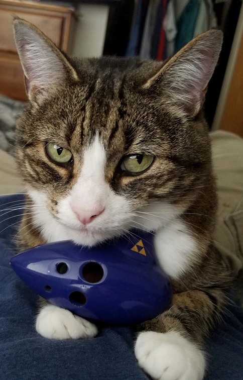 Wild Thing with Her Ocarina