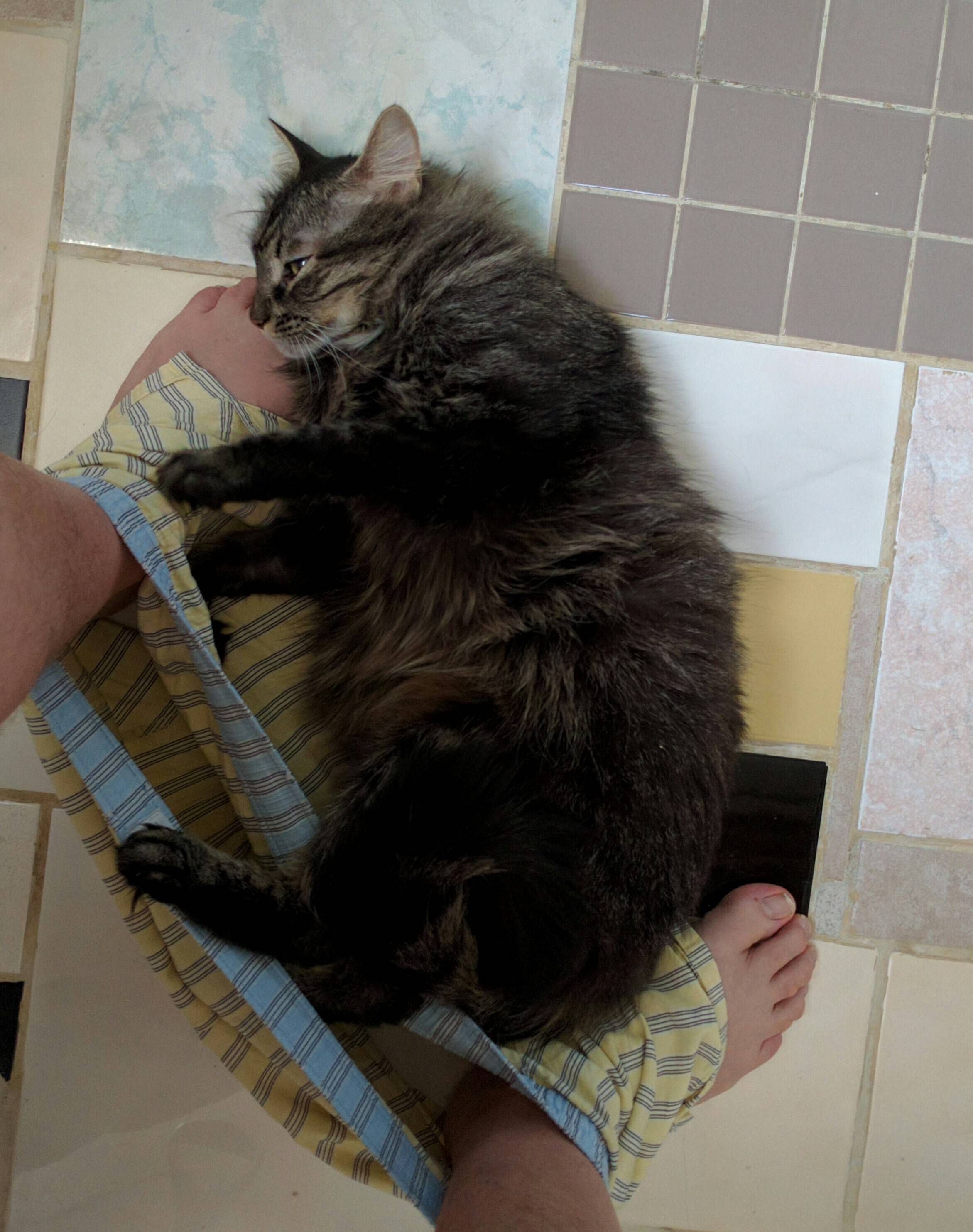 Wiley Likes Poop Time