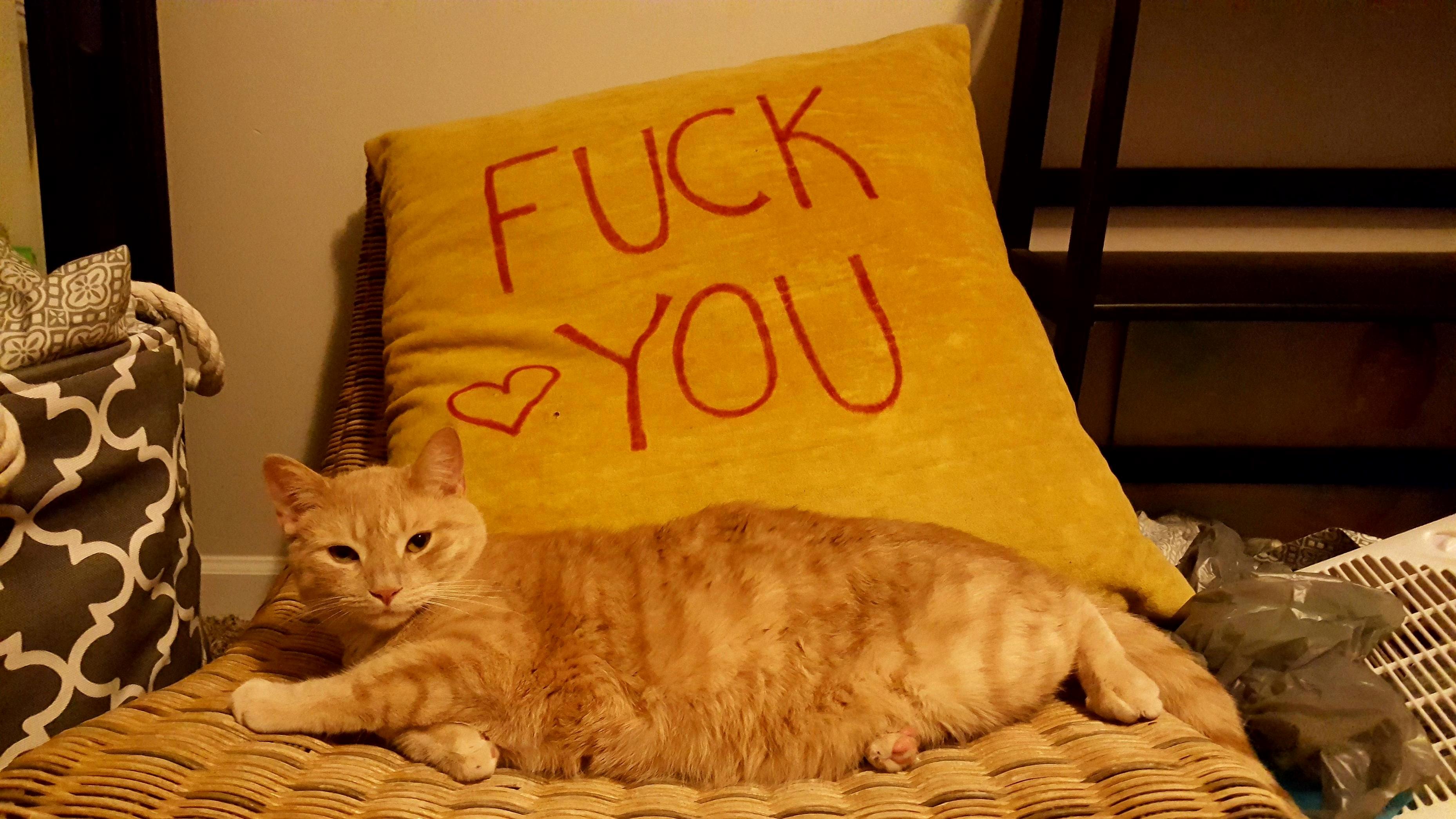 Yeah Well Up Yours Too Buddy