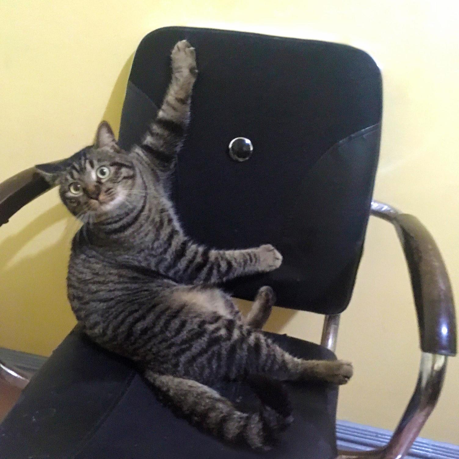 You Cant Sit Here I Already Called Dibs