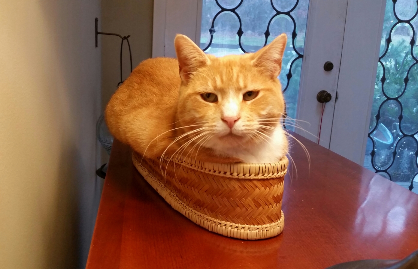 You Know Its Time to Hit the Gym When All Your Baskets Are a Little Snug.
