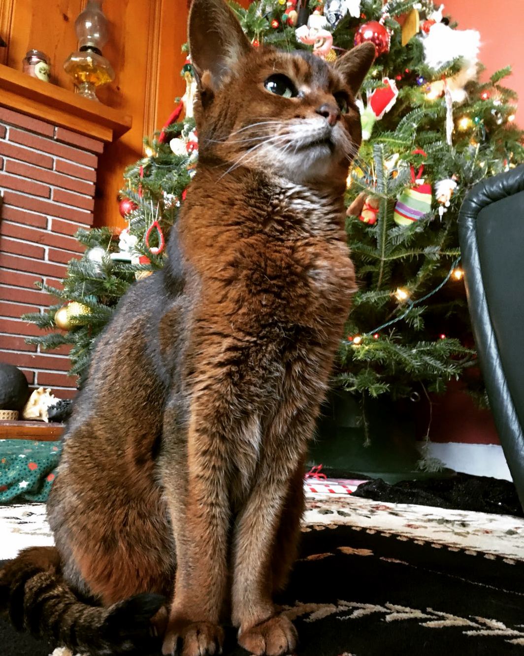 Back to University Tomorrow Means Saying Goodbye to This Beautiful 17 Year Old. Heres to Hoping She Makes It to 18
