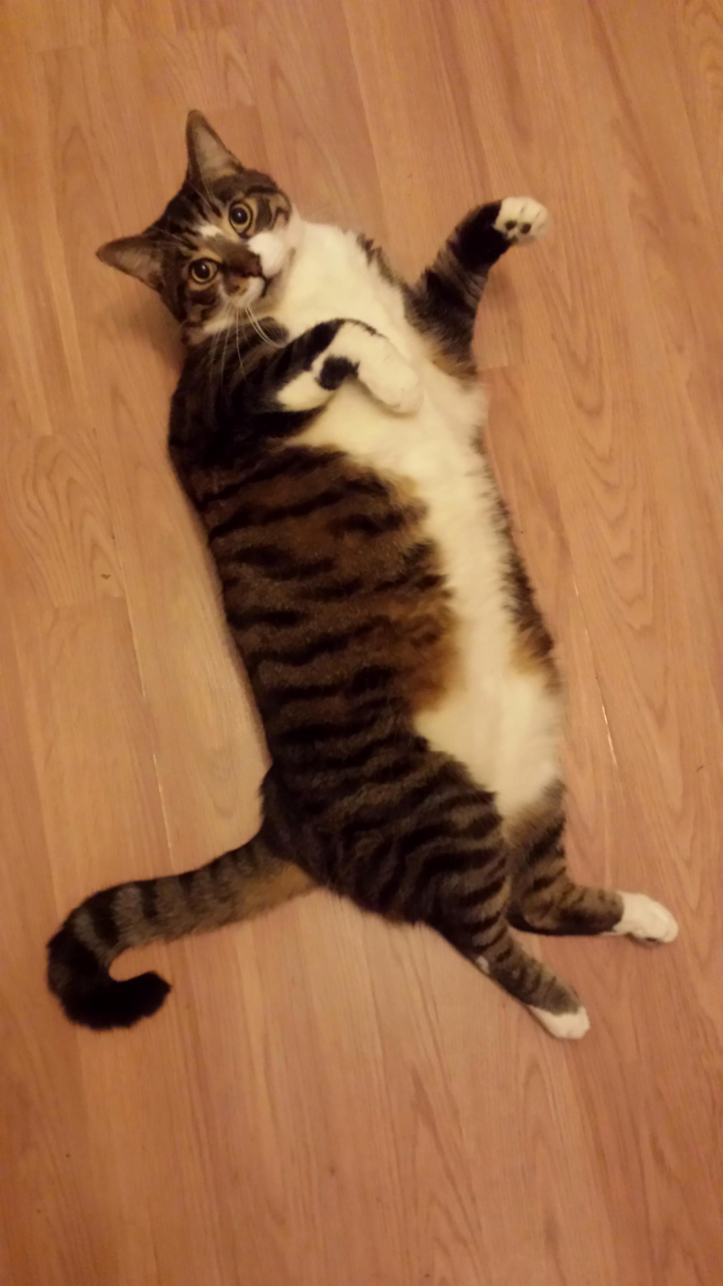 Big Ben Showing Off
