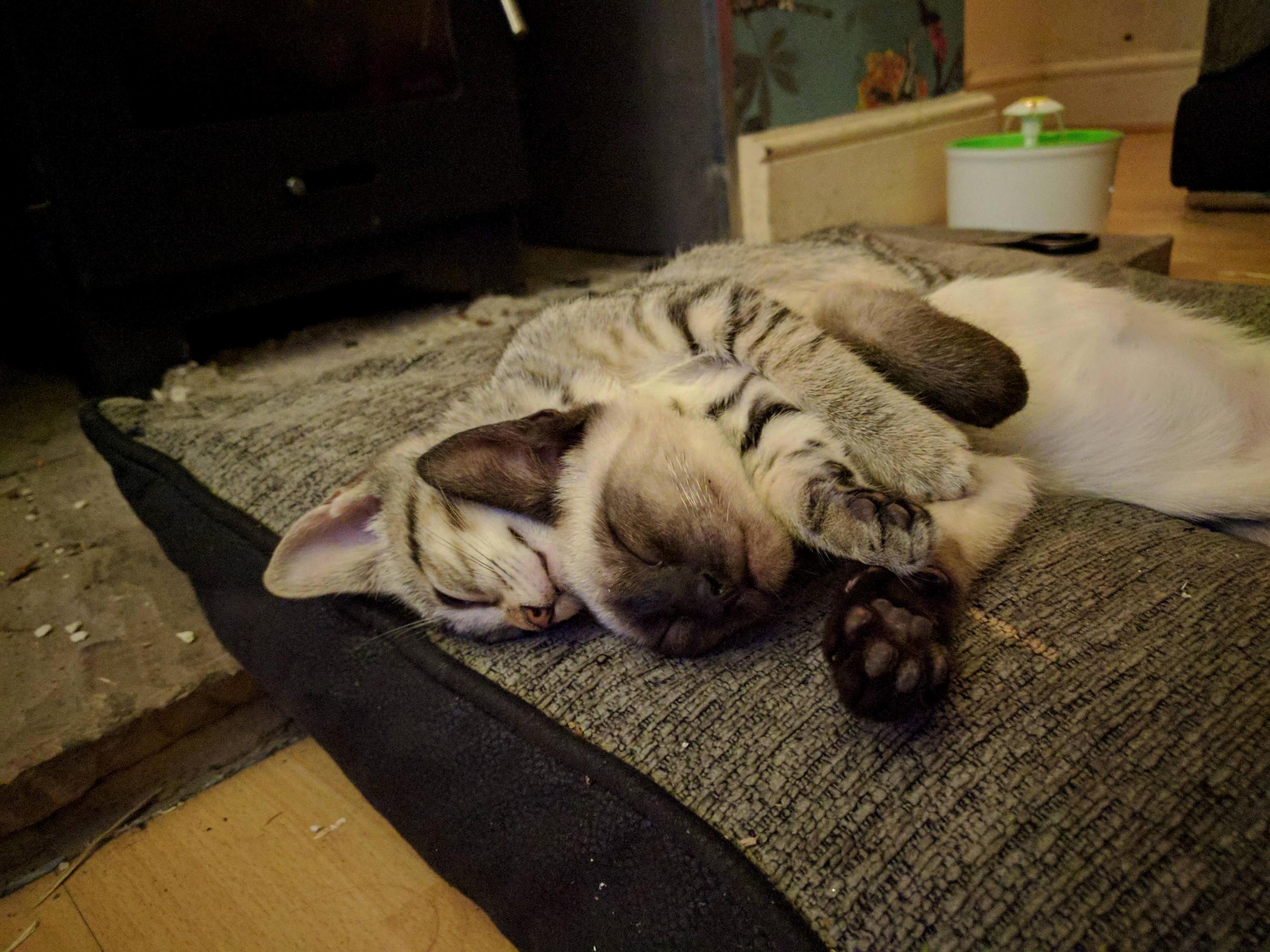 Bonnie and Jethro