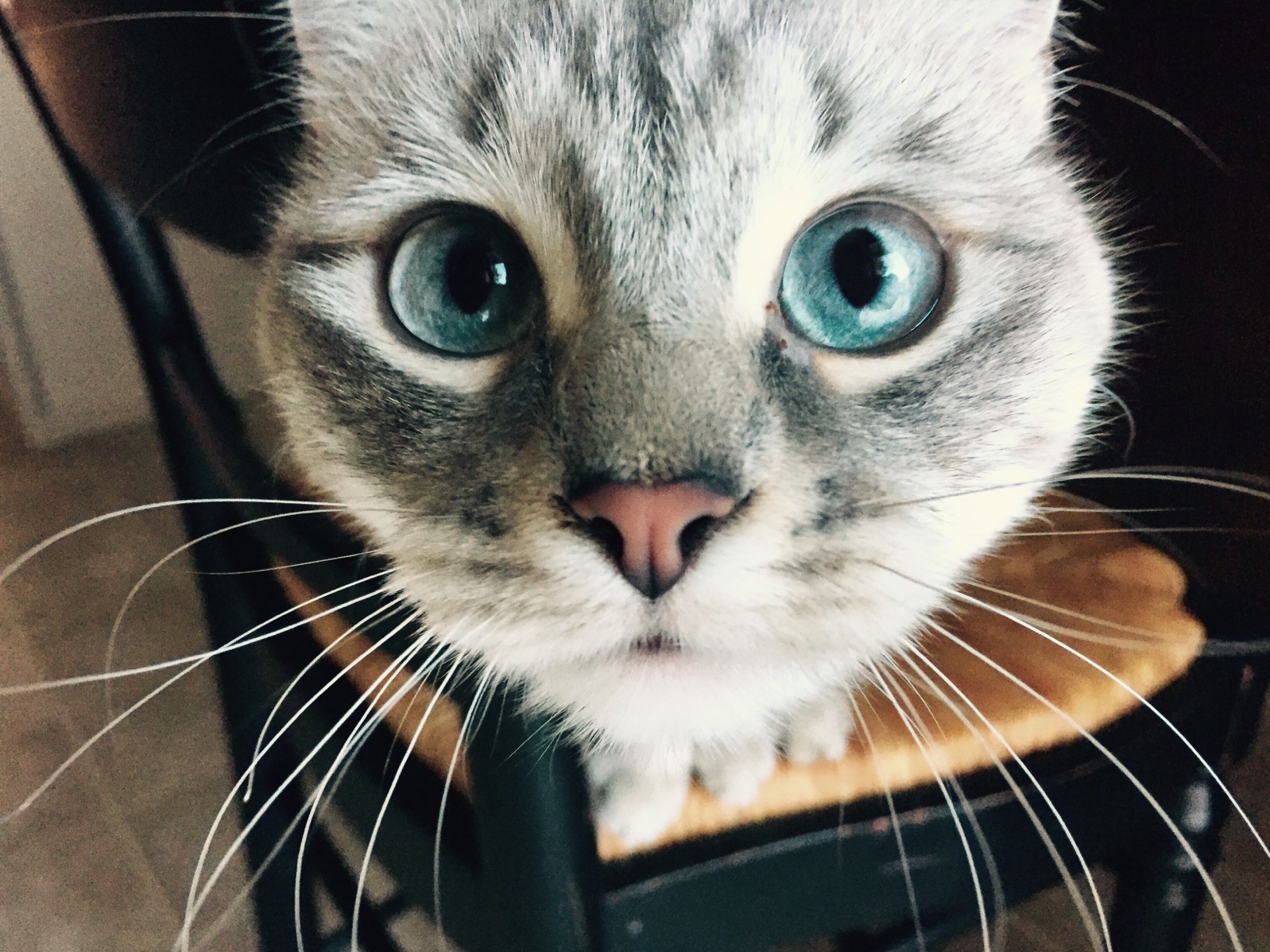 Can T...break....eye...contact.