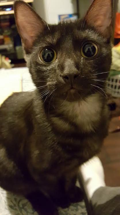 Captain Janeway Looking B-e-a-utiful