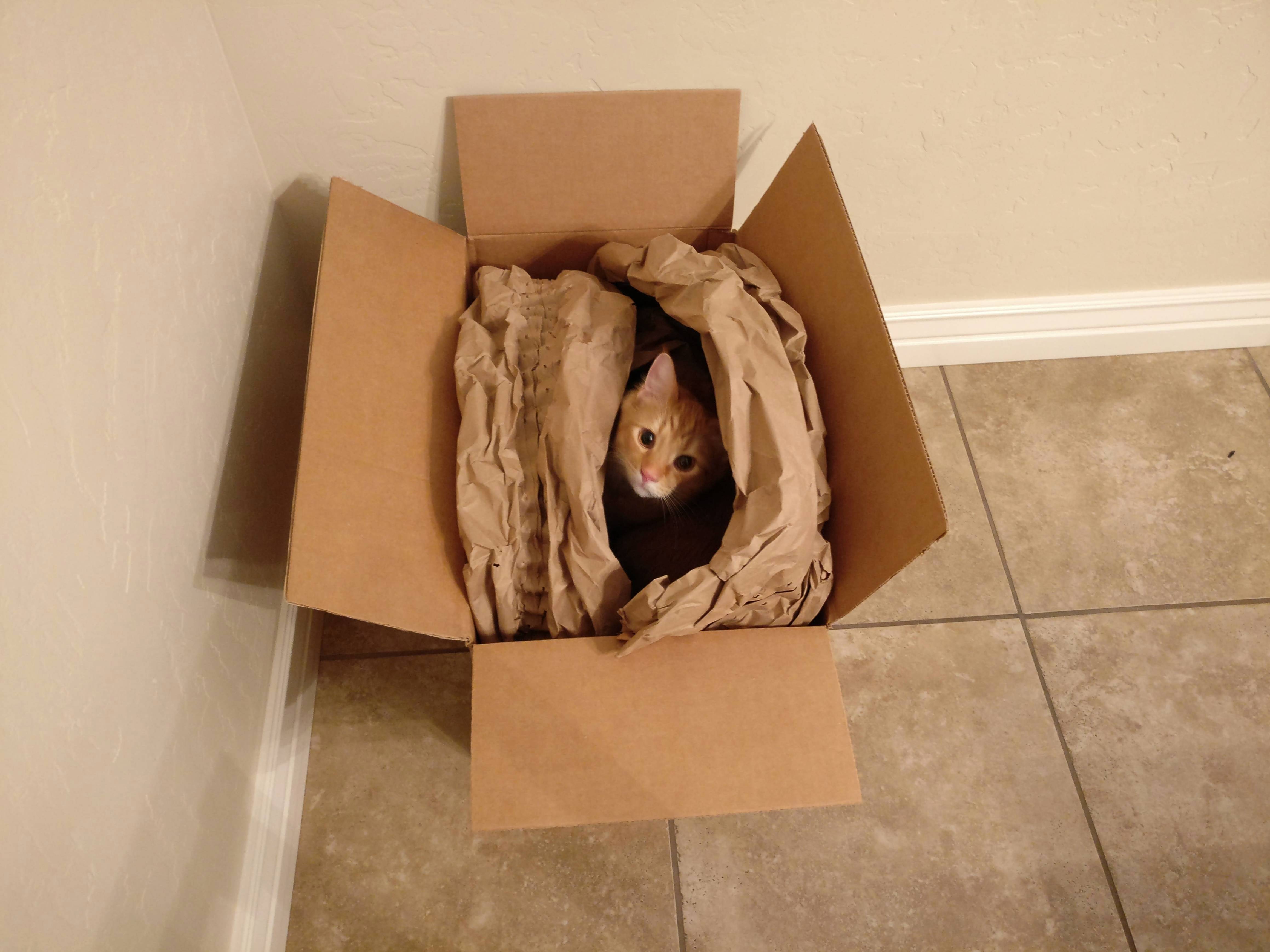 Every Time I Get a Package...