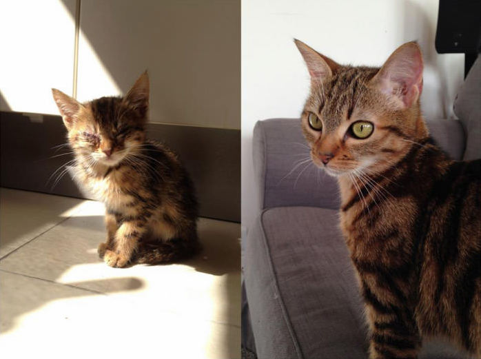 Frosties 2 Months Vs 1 Year Old - Were Quite Proud of This Rescue