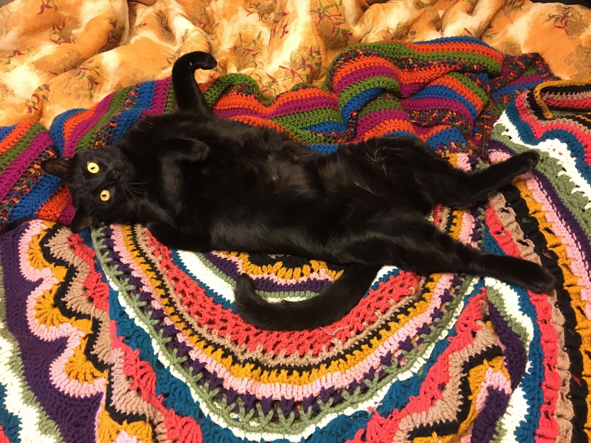Georges Belly Is Too Cute.