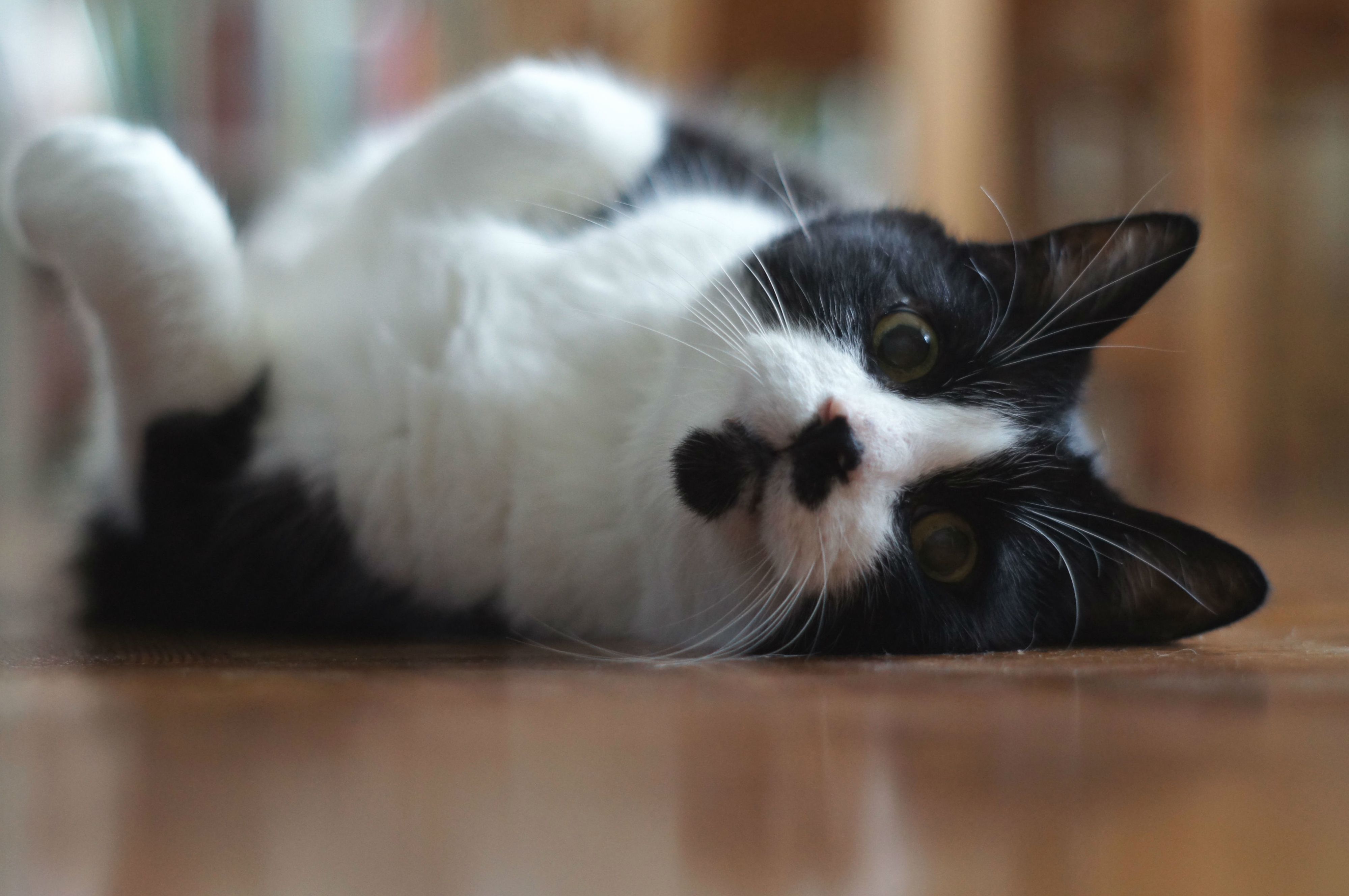 Gerry Loves Lazy Weekend Mornings
