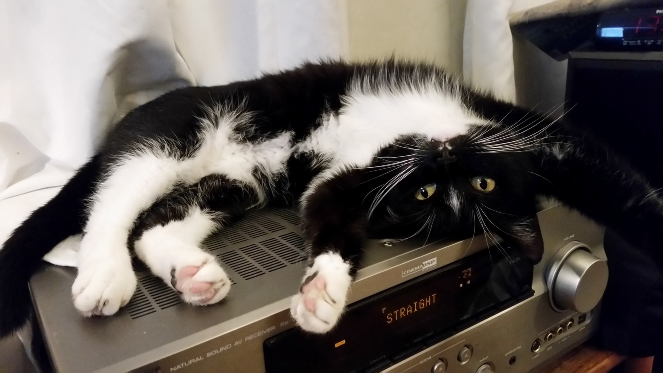 Happiness Is a Warm Amplifier