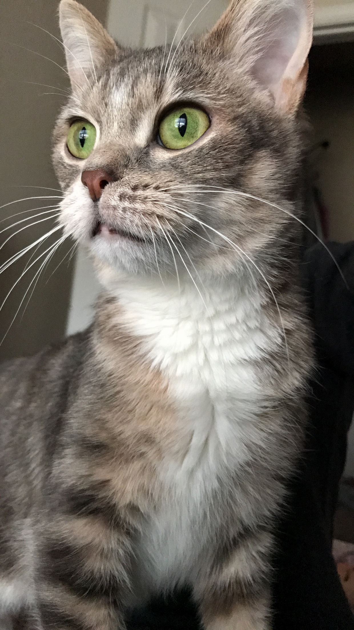 Happy Monday from Luna