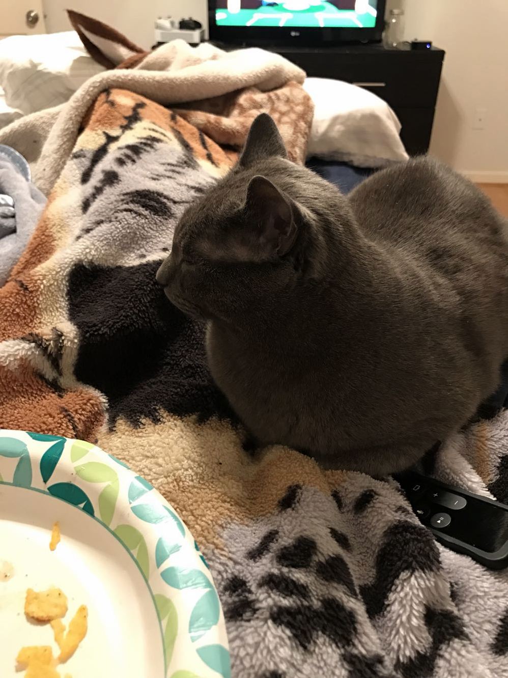 He Was Pouting Because I Didnt Give Him Any Brinner...brat