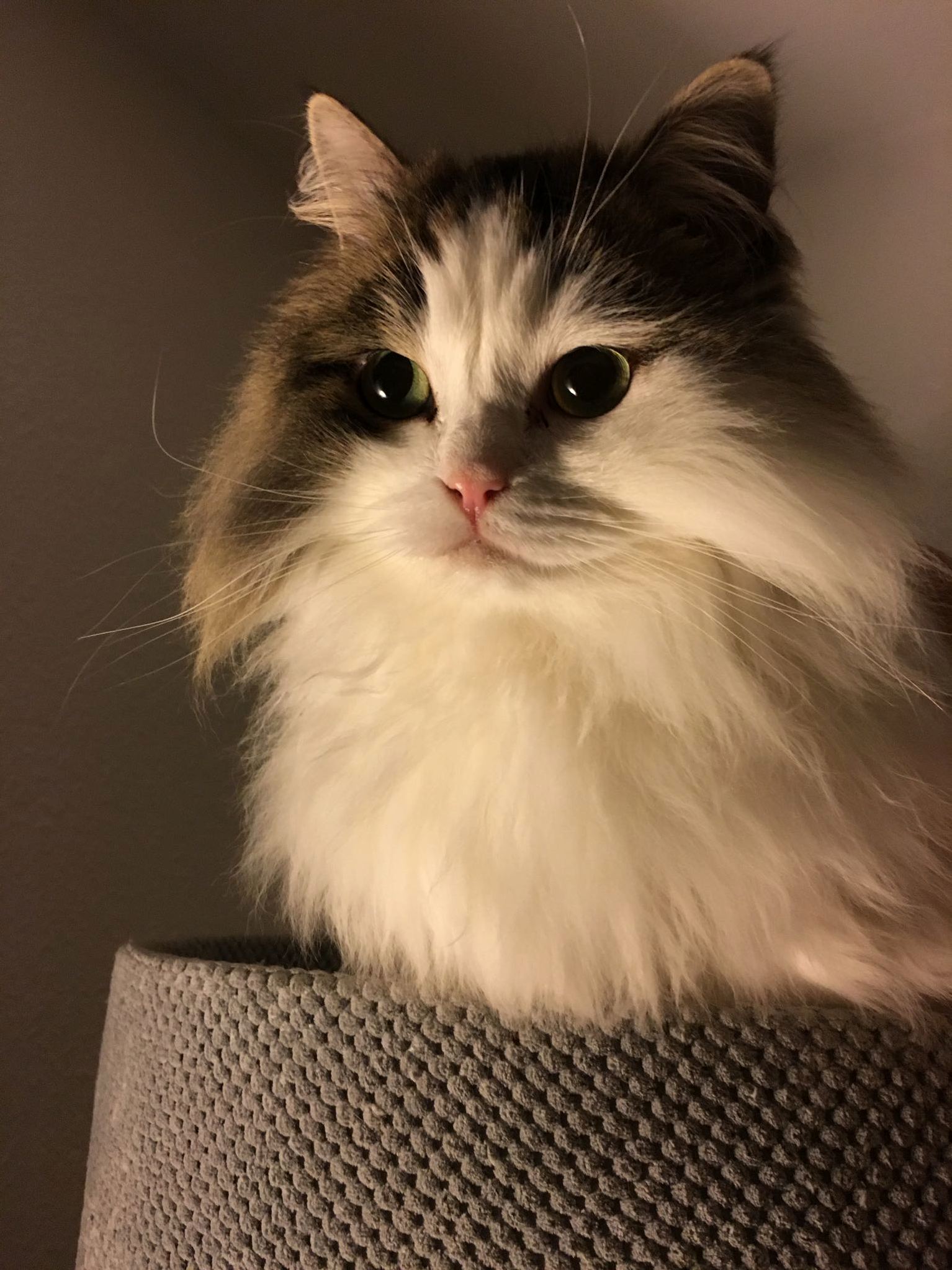 Her Majesty.