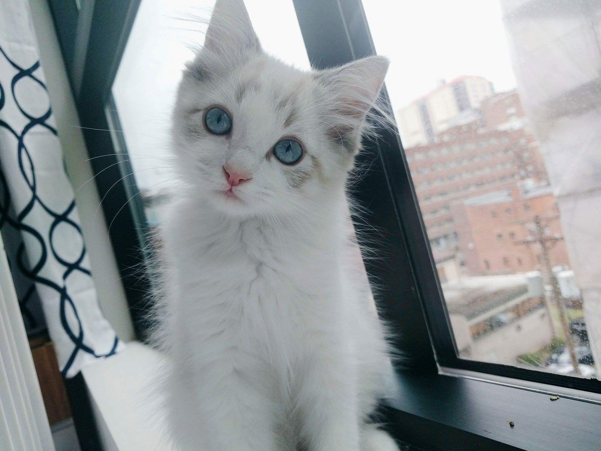 Hes Been with Us for a Week Now