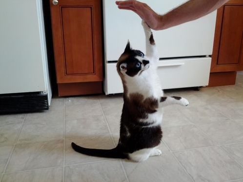 Hi Five with My Best Friend Sophie. Whats Your Best Friends Name