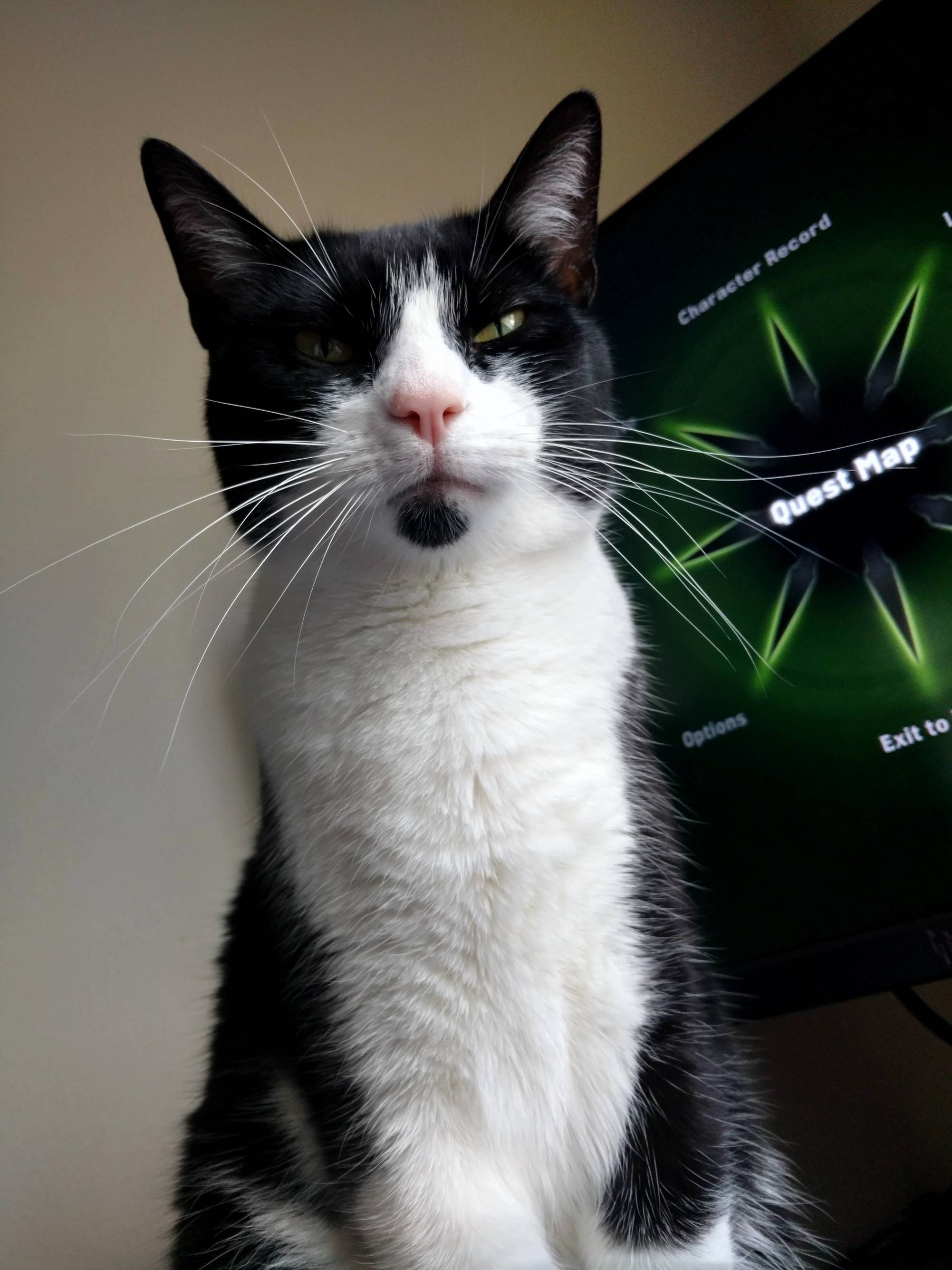 I Have a New Quest for You Feed Me