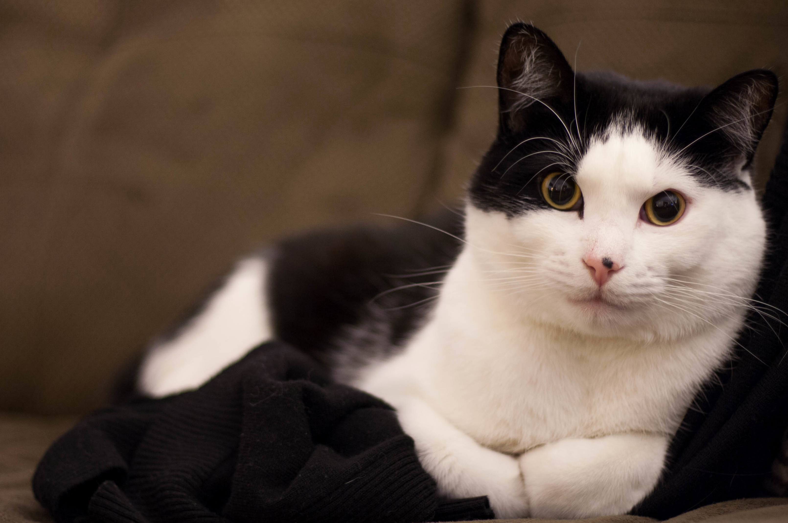 I Just Got a New Camera Lens for Christmas and I Thought ID Share. This Is Nimbus.