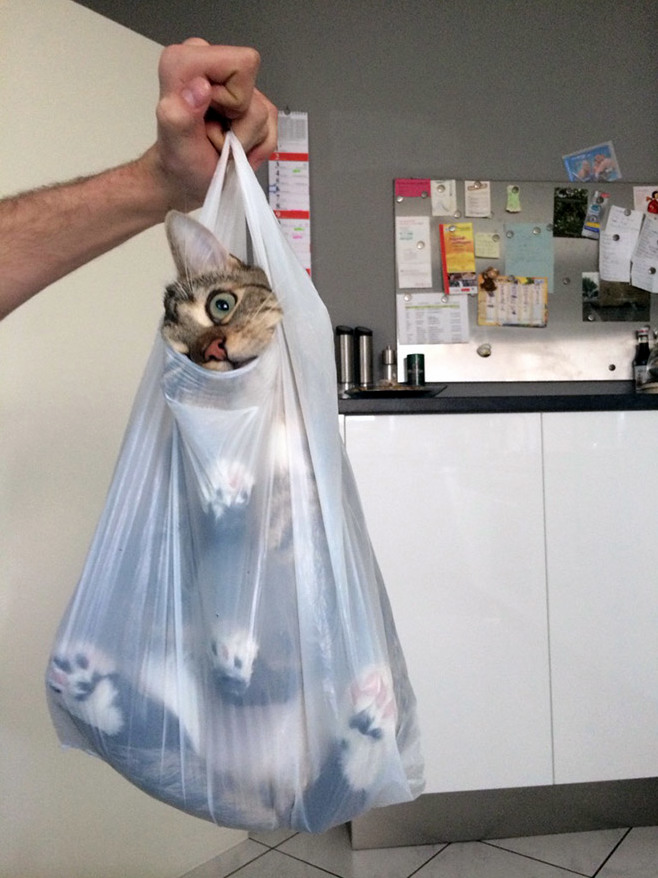 I Love Chinese Take Out