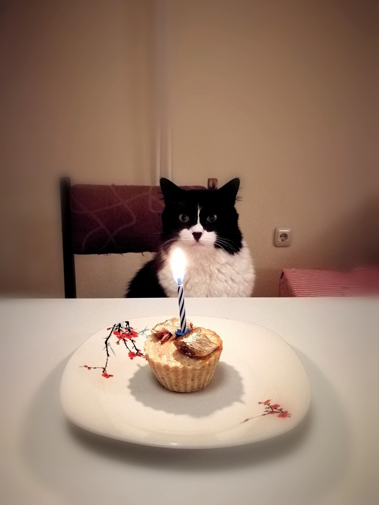 I Made a Tuna Muffin with Sprats on Top to Celebrate the Adoption I Made Two Years Ago. Heres to Many More with Sterling Archer.