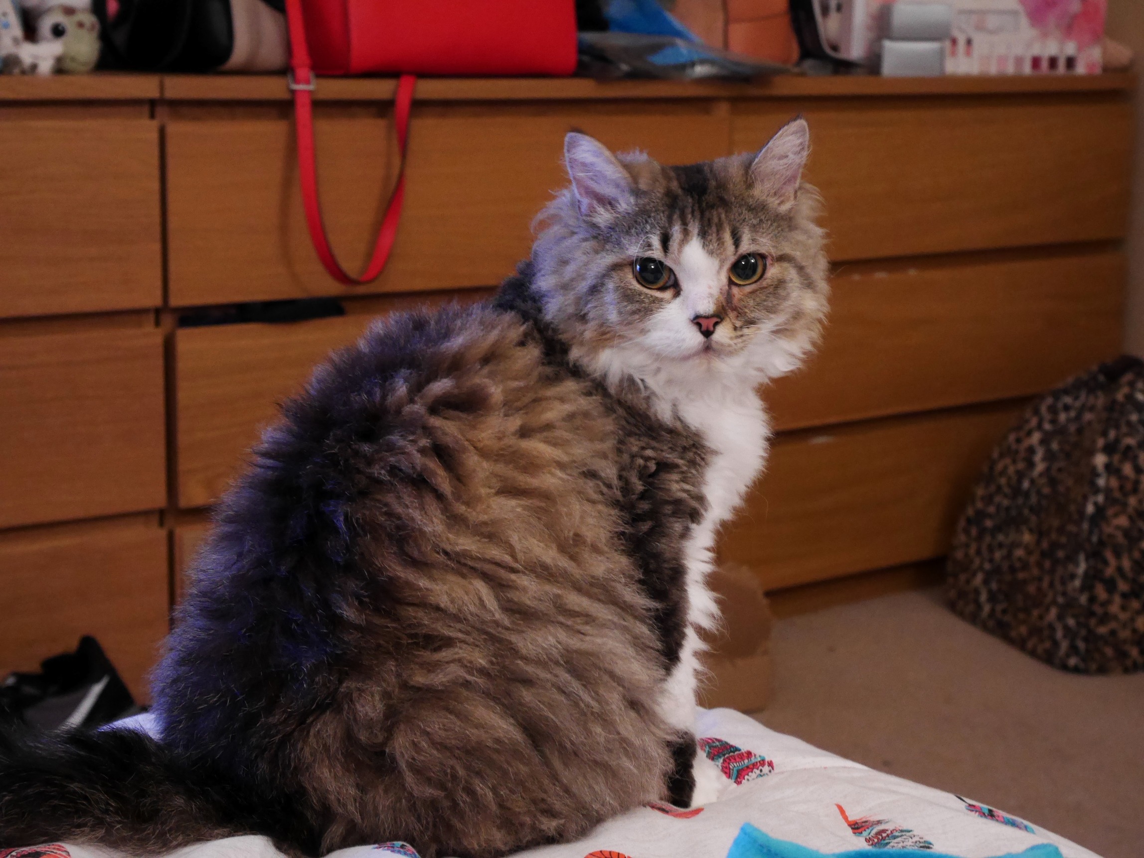 I Think Charlie Could Also Be a Model