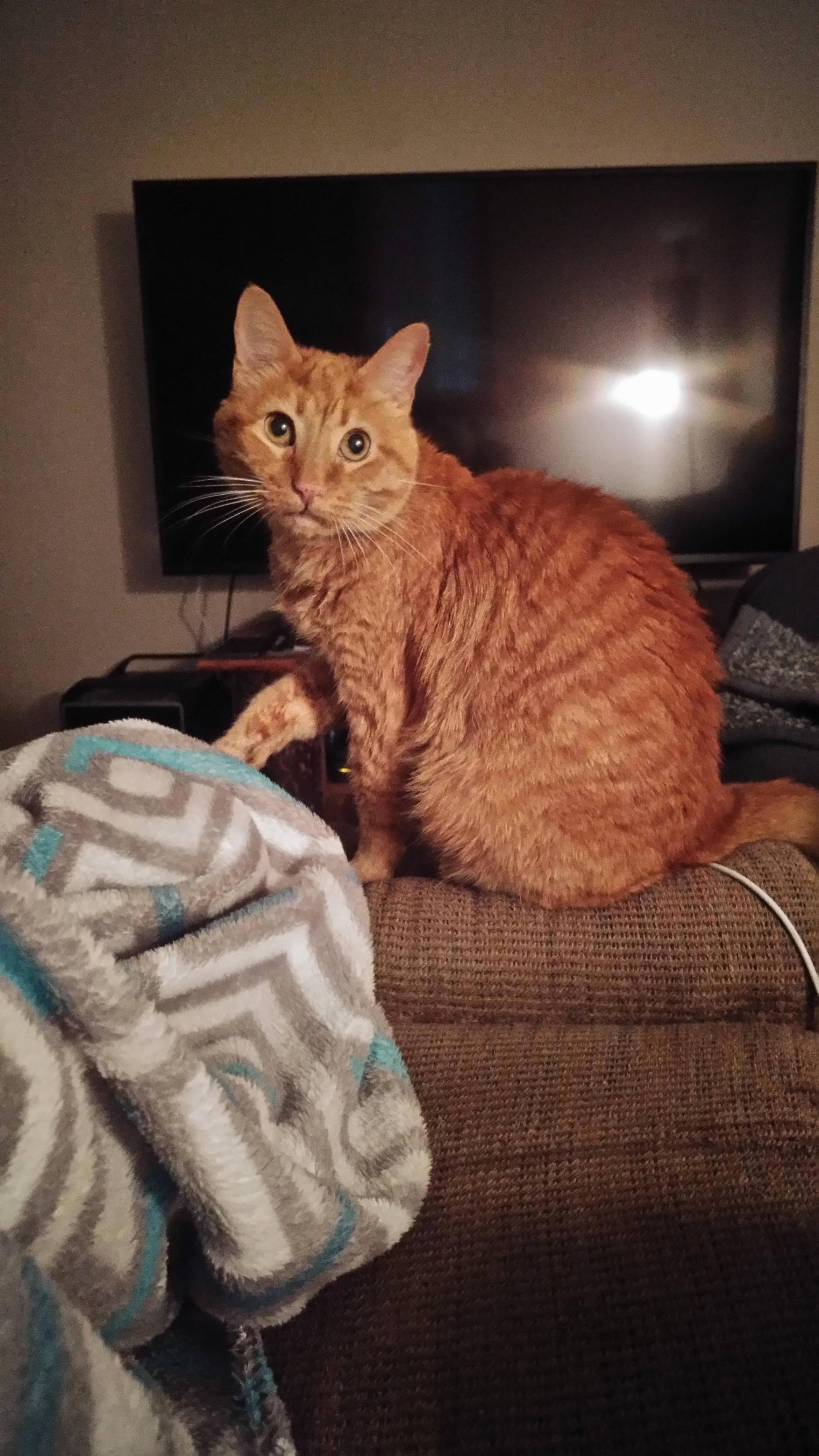 I Think I Surprised Him a Bit with This Picture.