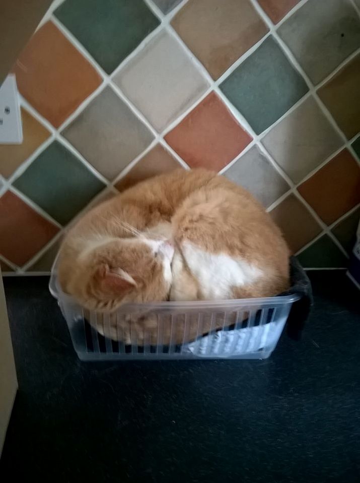 If the Old Man Fits...