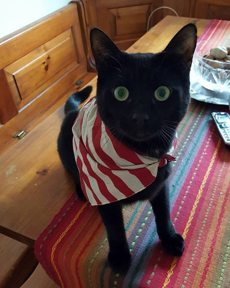 Kuro2020