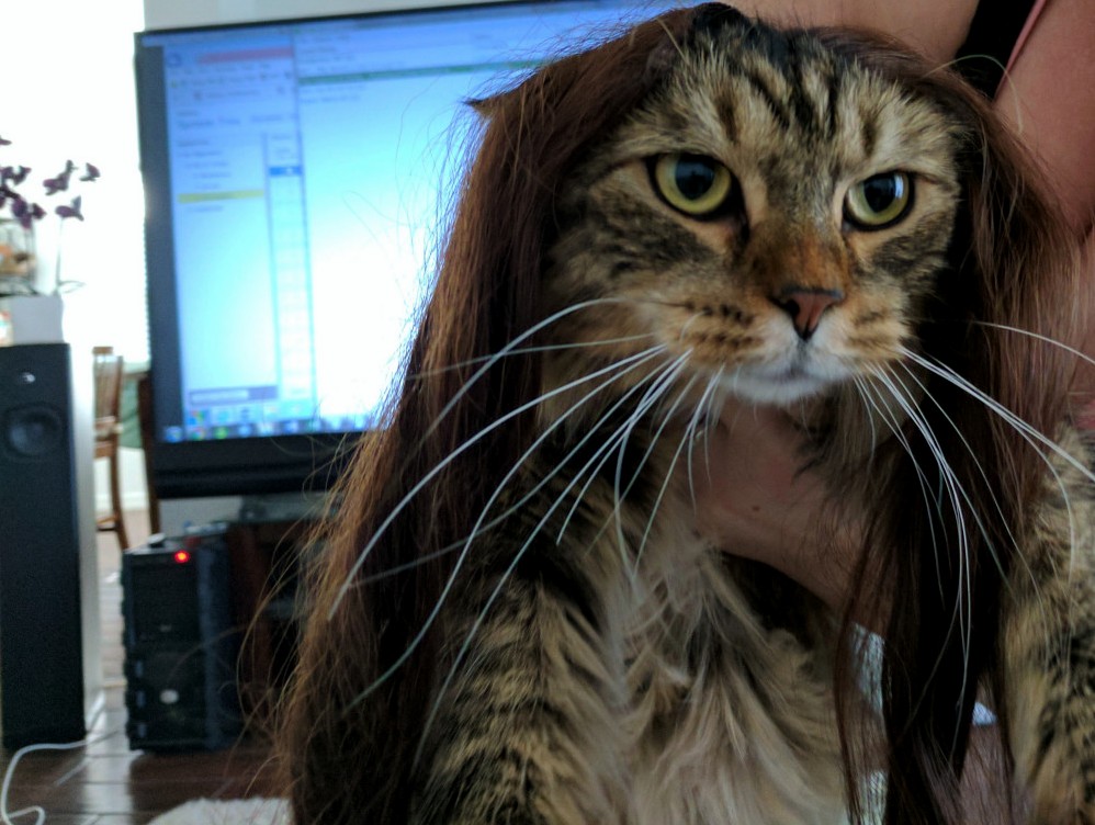 Long Hair Dont Care