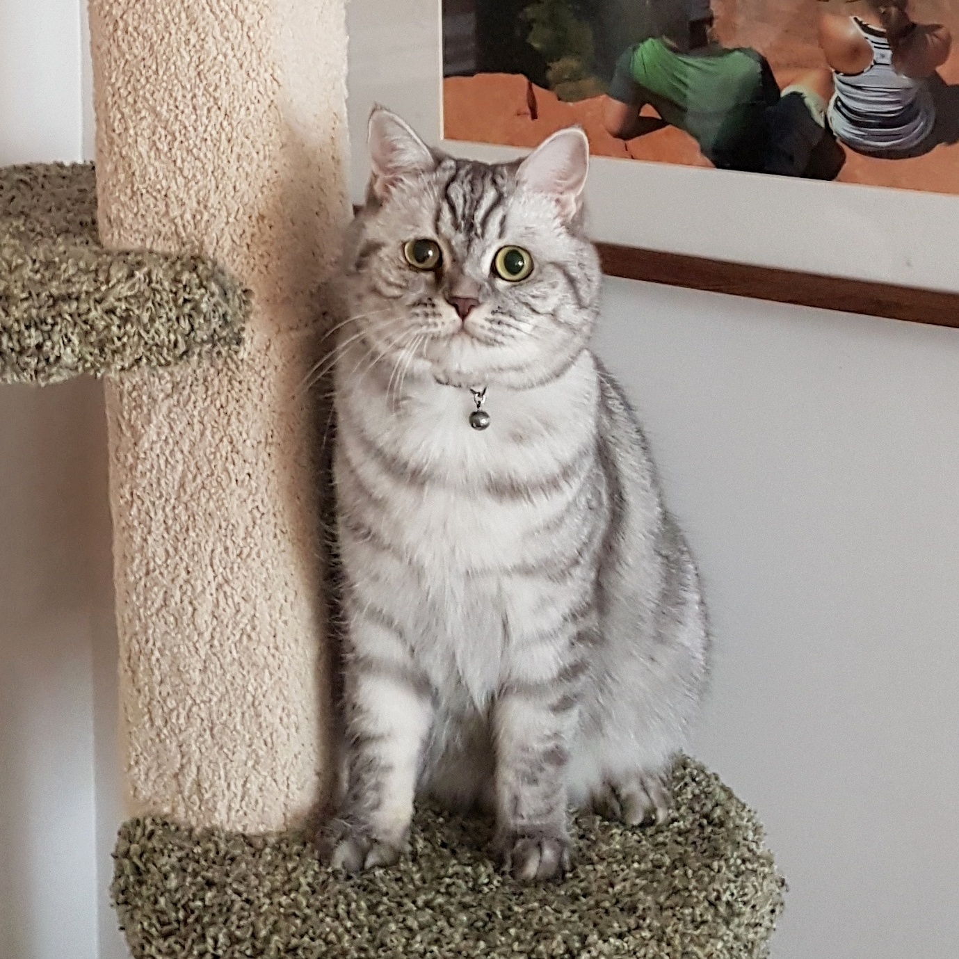 Looking Pretty Guilty
