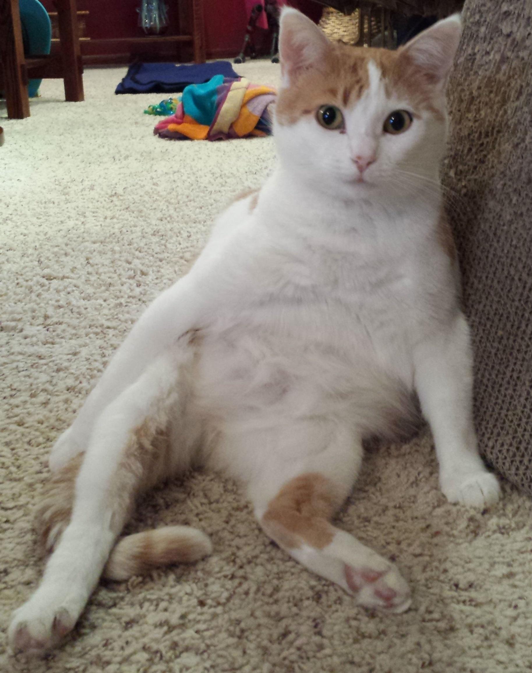 Mia Sits So Ladylike