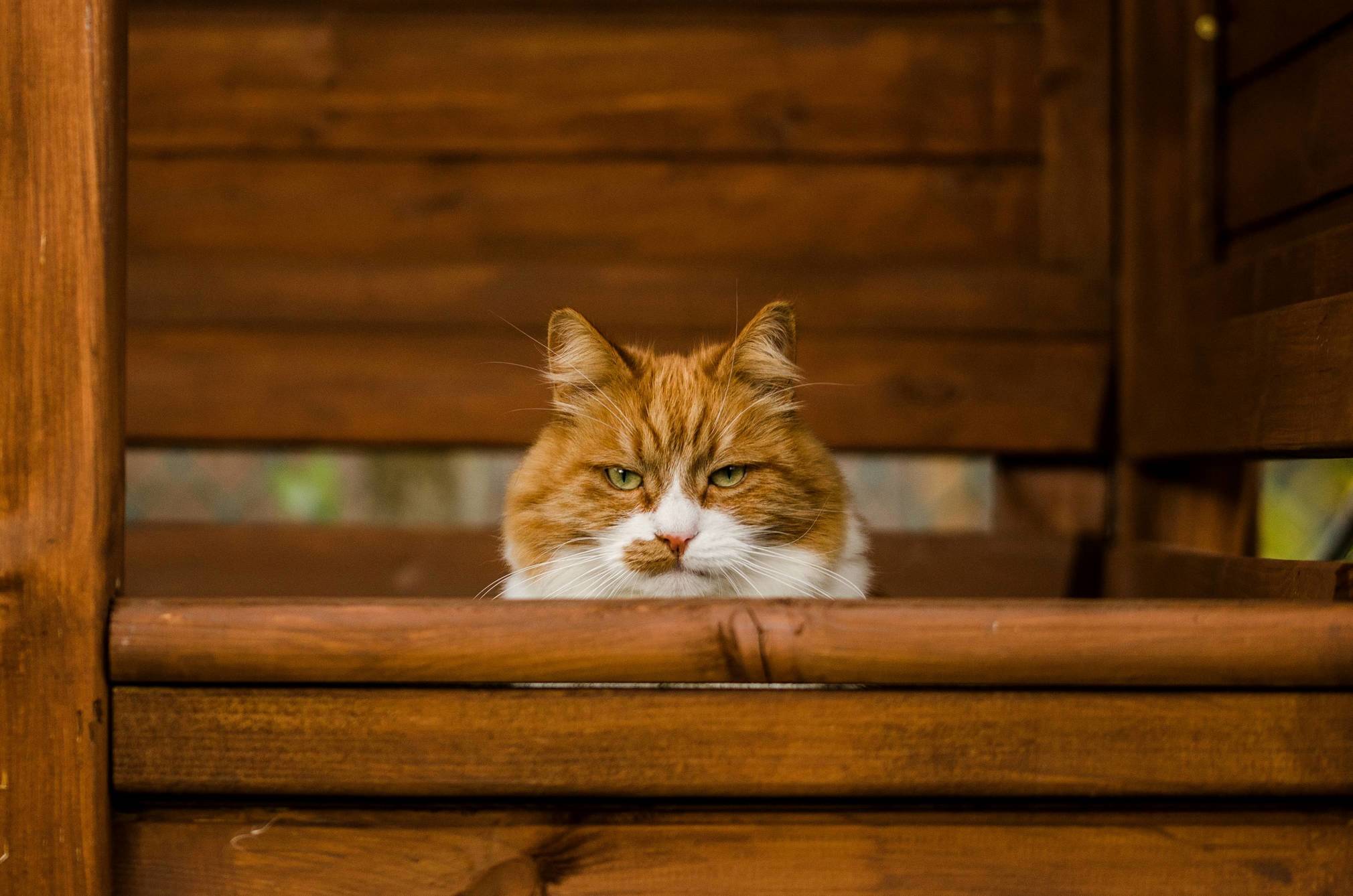 Monty Means Business...