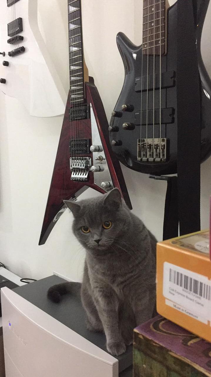 My Friend Is Dropping by to Check Up on Her While Im on Holiday. Shes Known Him for Years but Still Cagey.