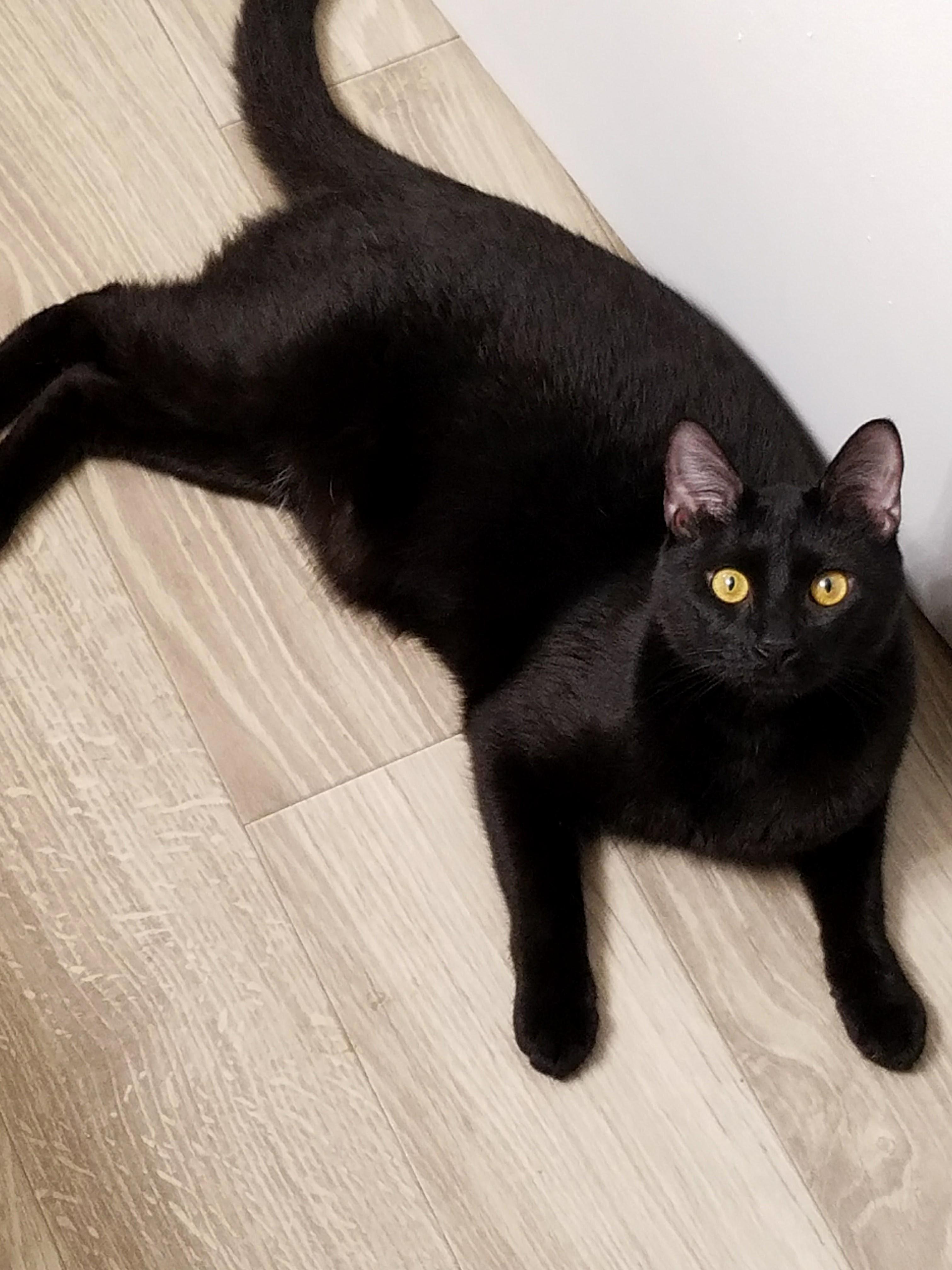 My Not So Little 1 Year Old Kahuna