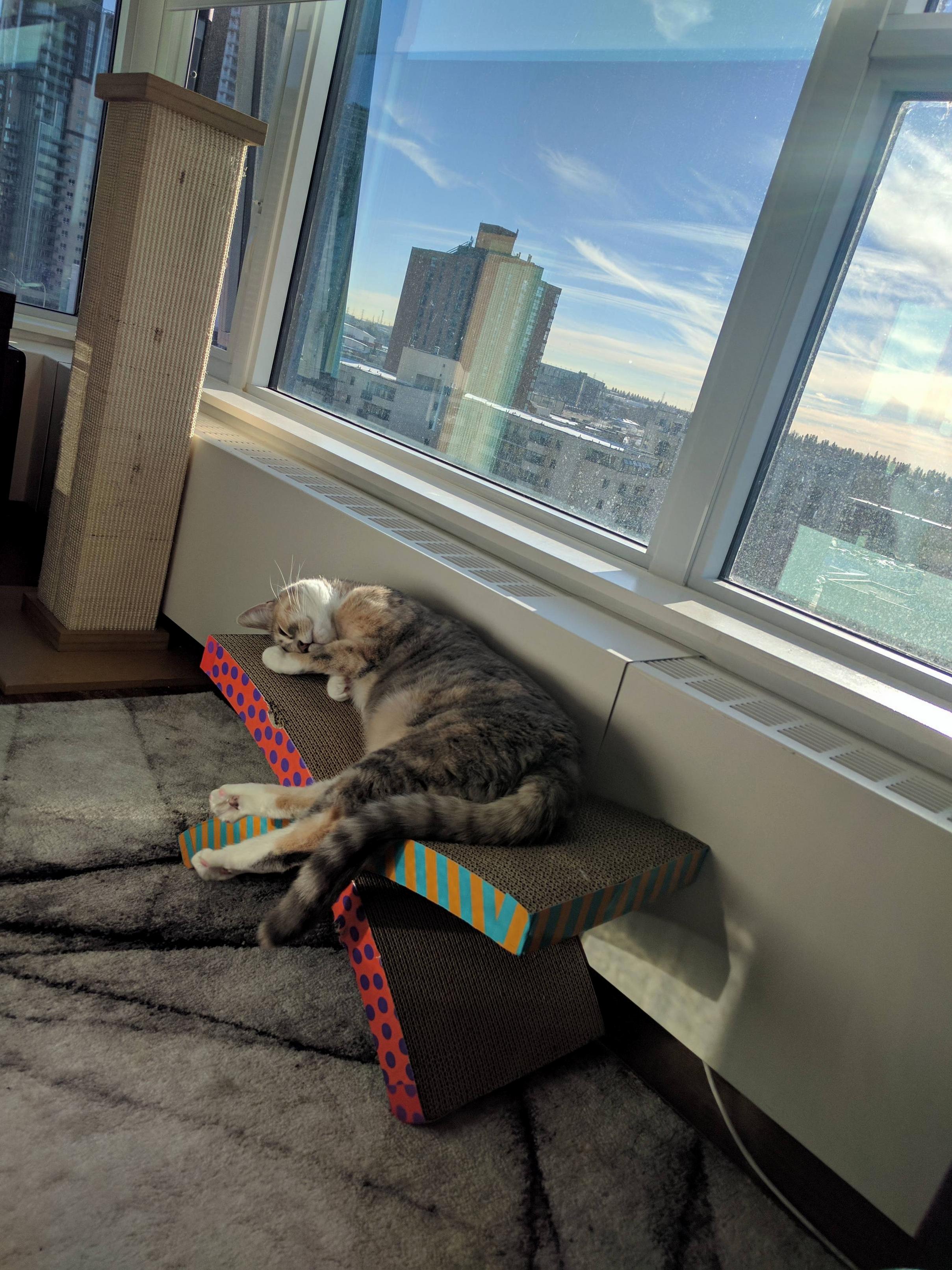 Nimbus Being Weird