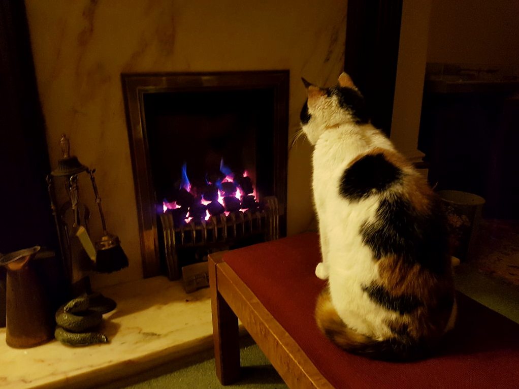 No Dont Let Her in She Ll Only Take Adavntage...