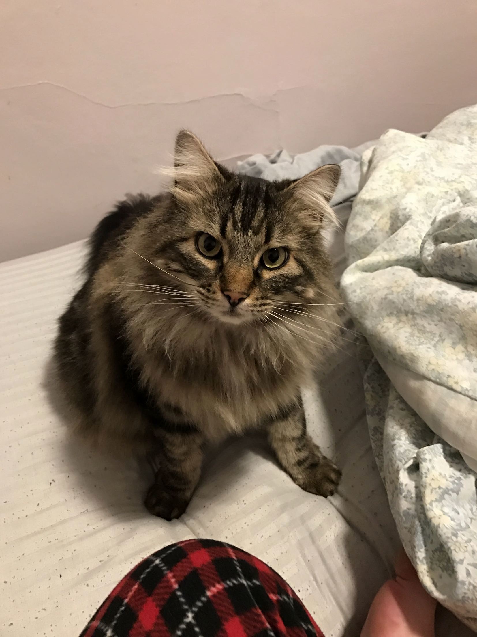 Poseidon Woke Me Up This Morning to Say Happy New Year