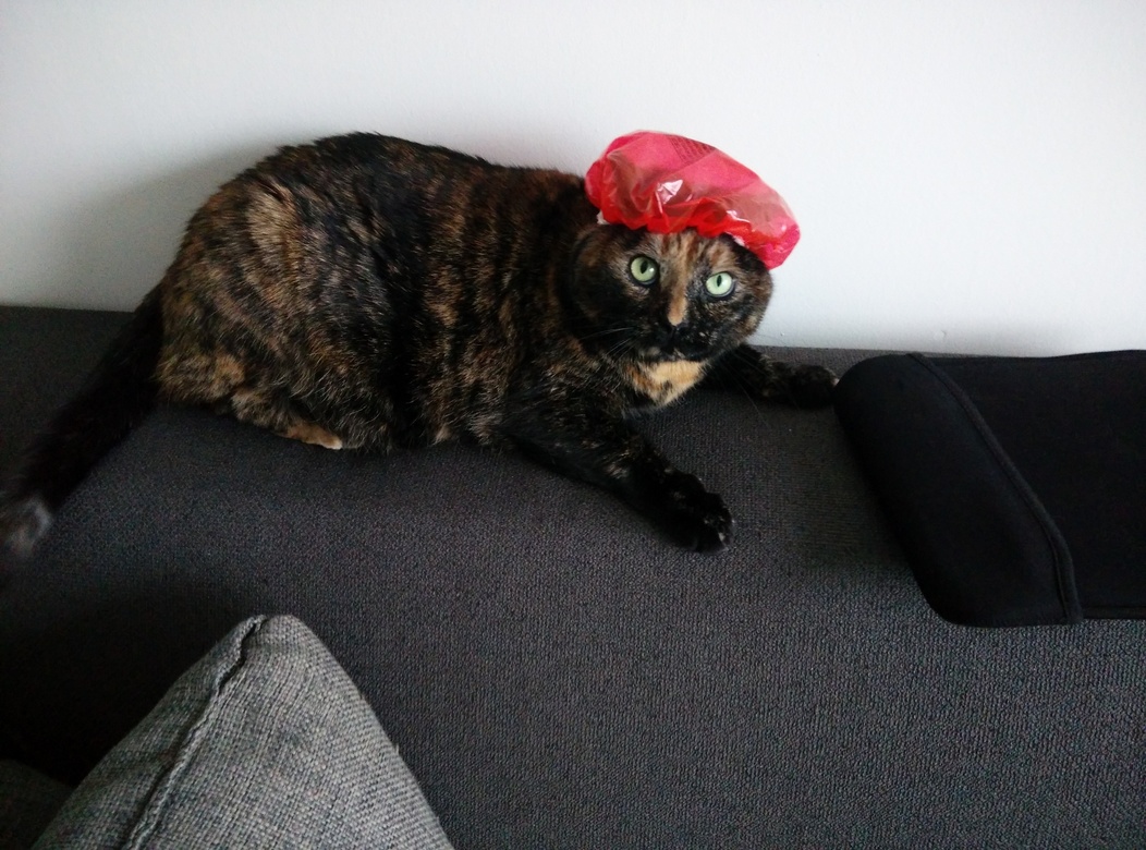 Ready for That Yearly Shower