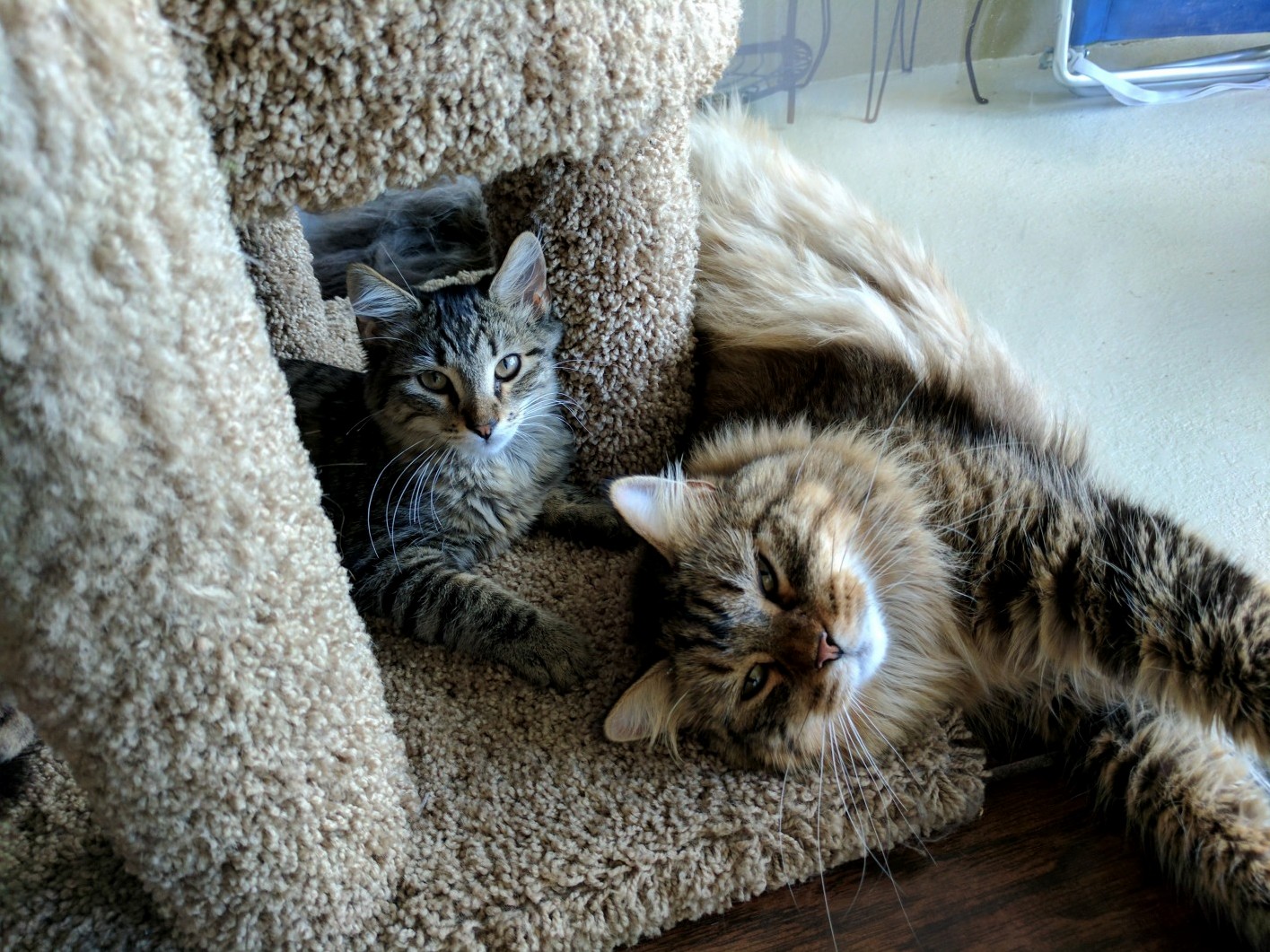 Resting After a Long Play Session