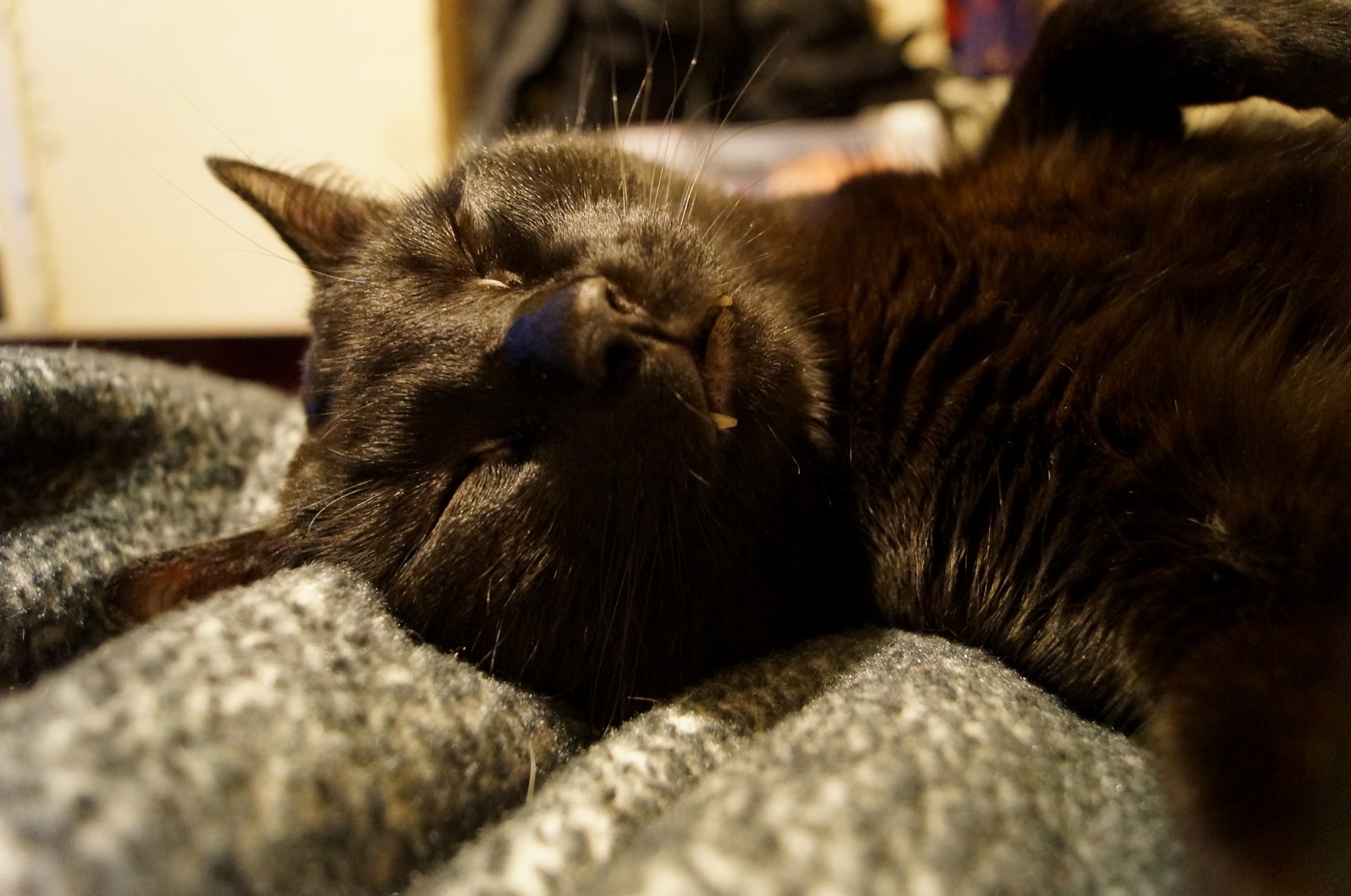 Sleepy Little Baby