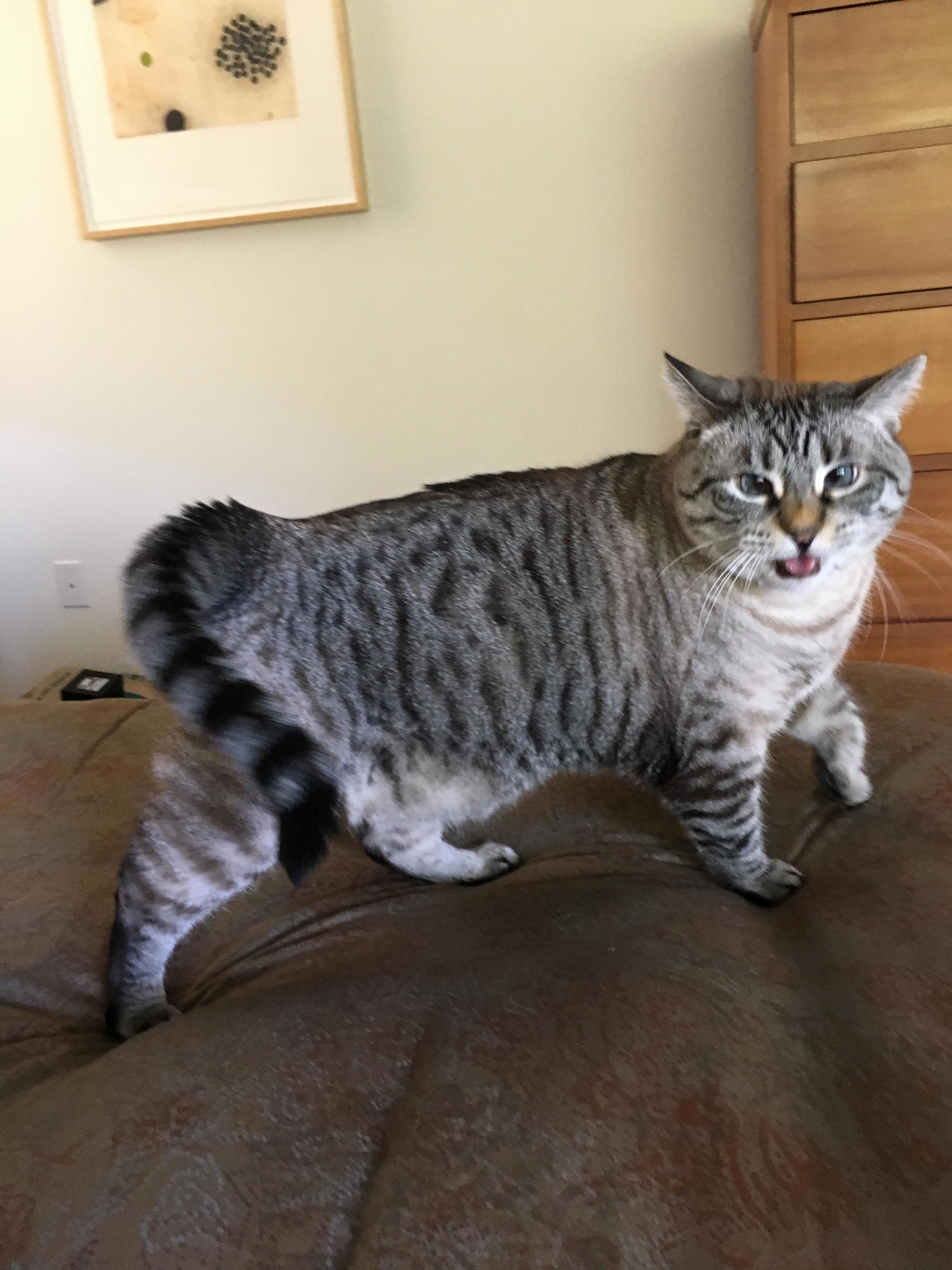 Tasha Looking Extra Derpy