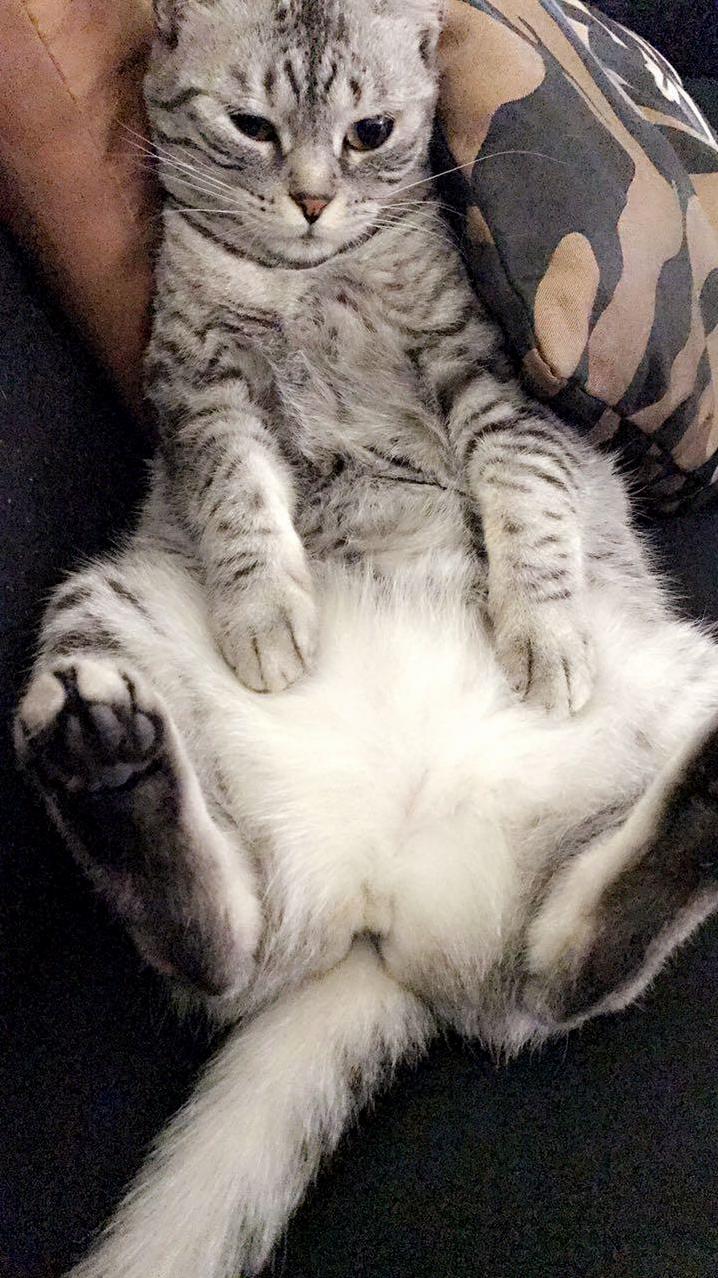 Thinking About Life