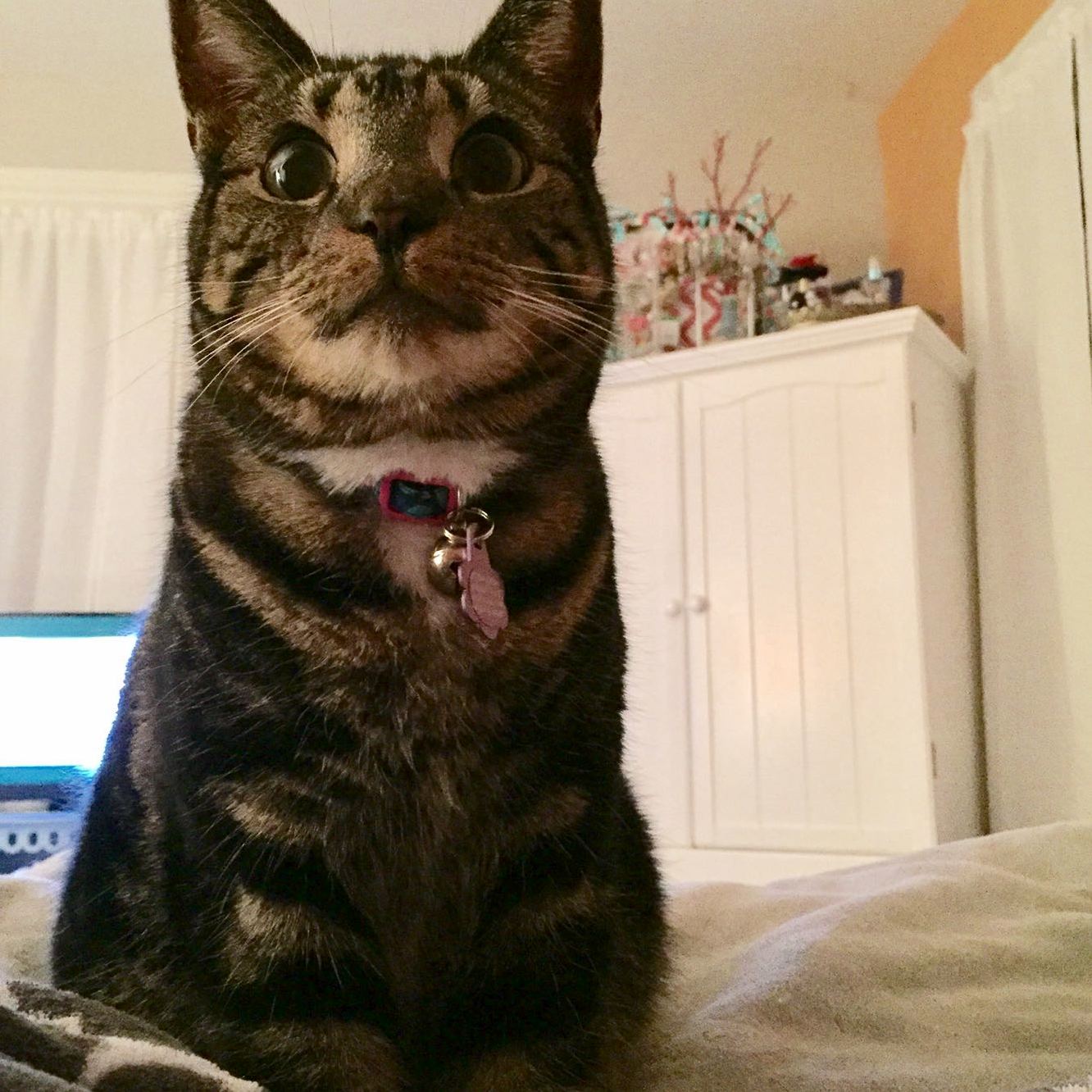 This Is Evie