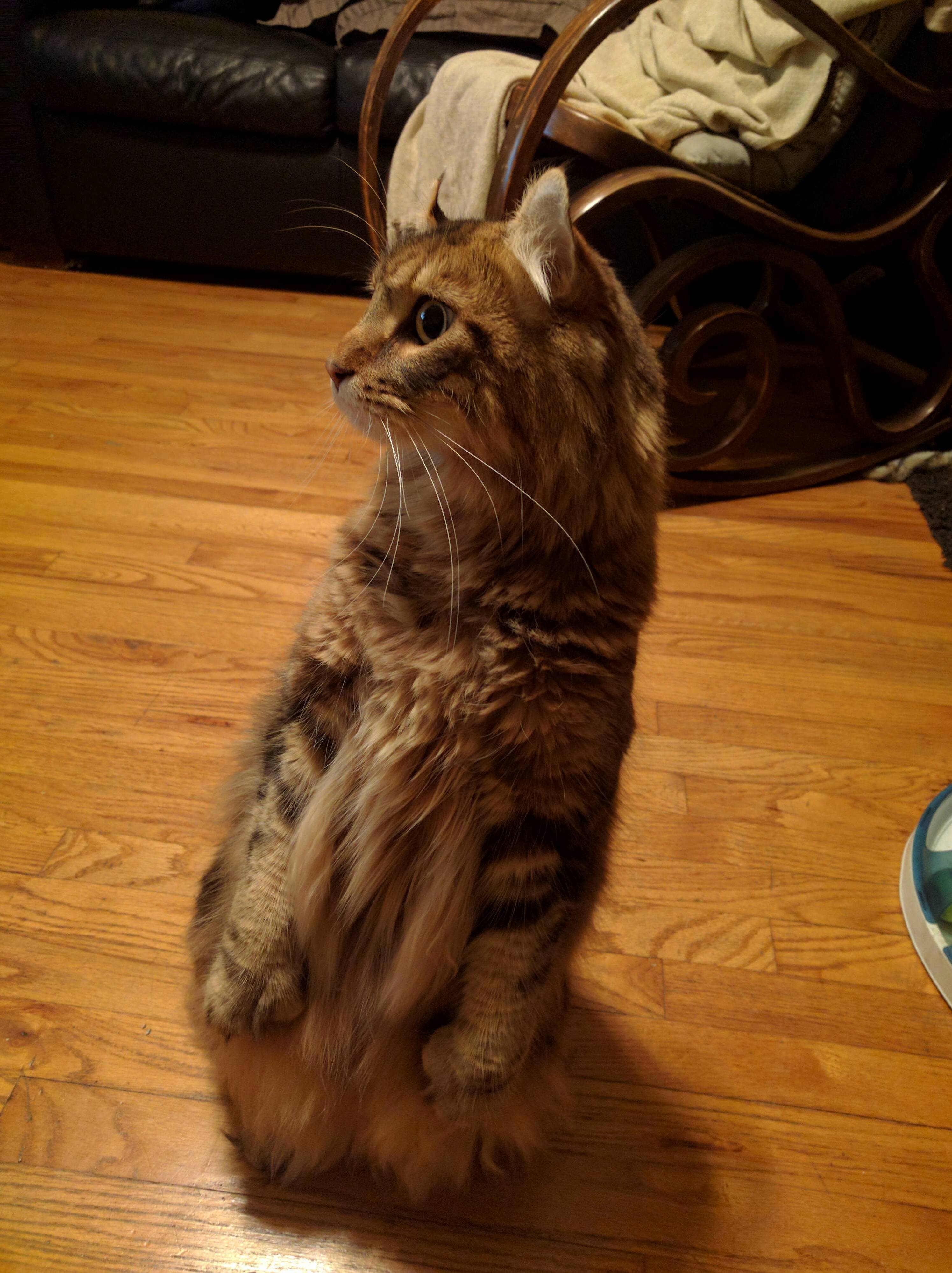 This Is How He Likes to Sit.