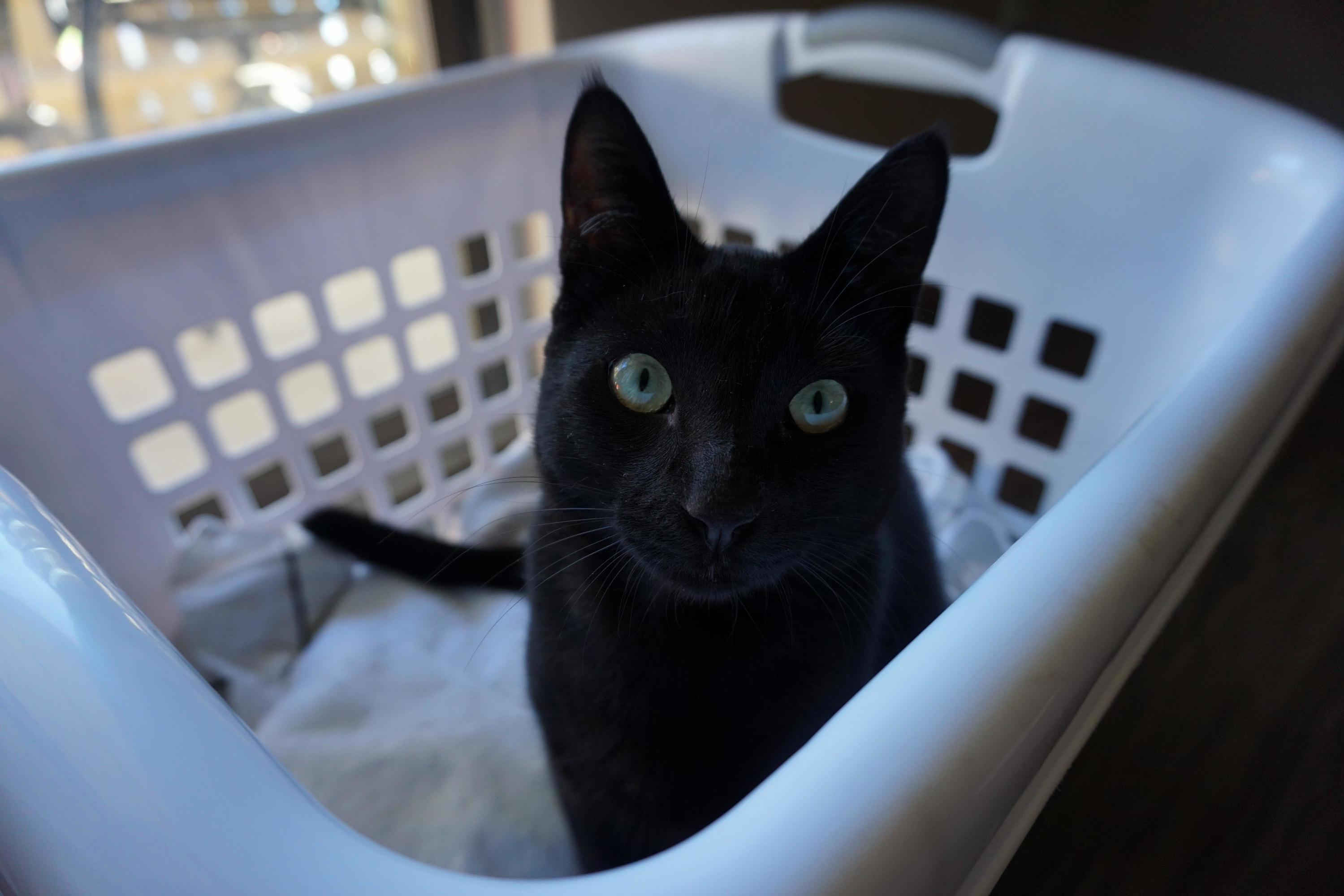 Those Green Eyes