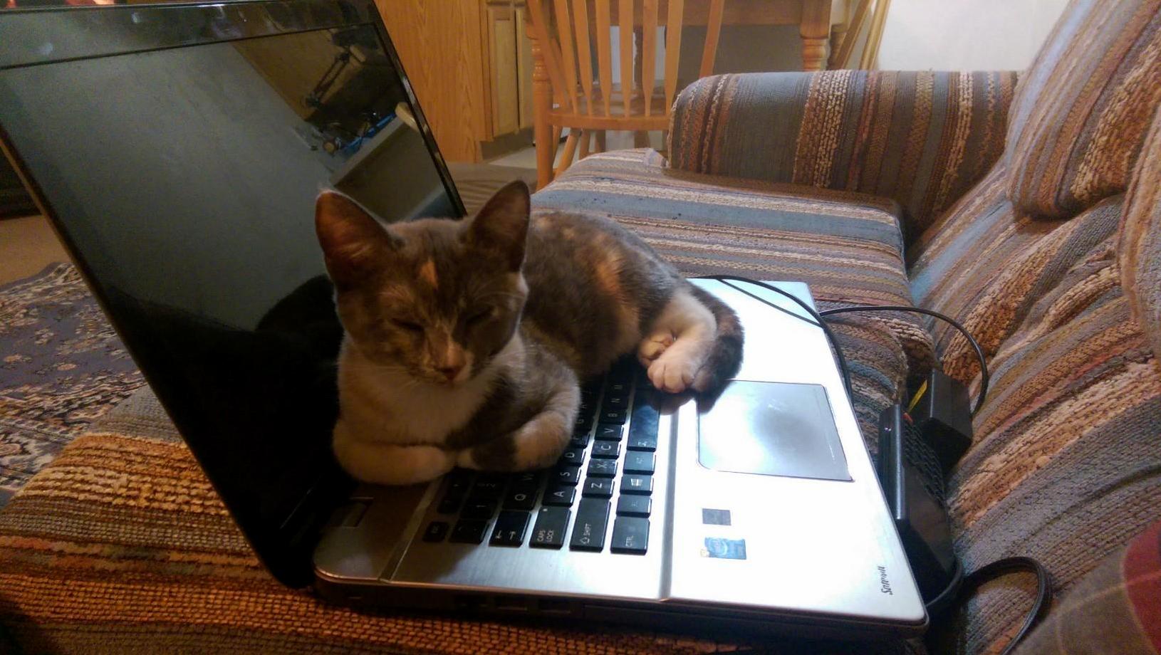 Today She Found the Sweet Spot