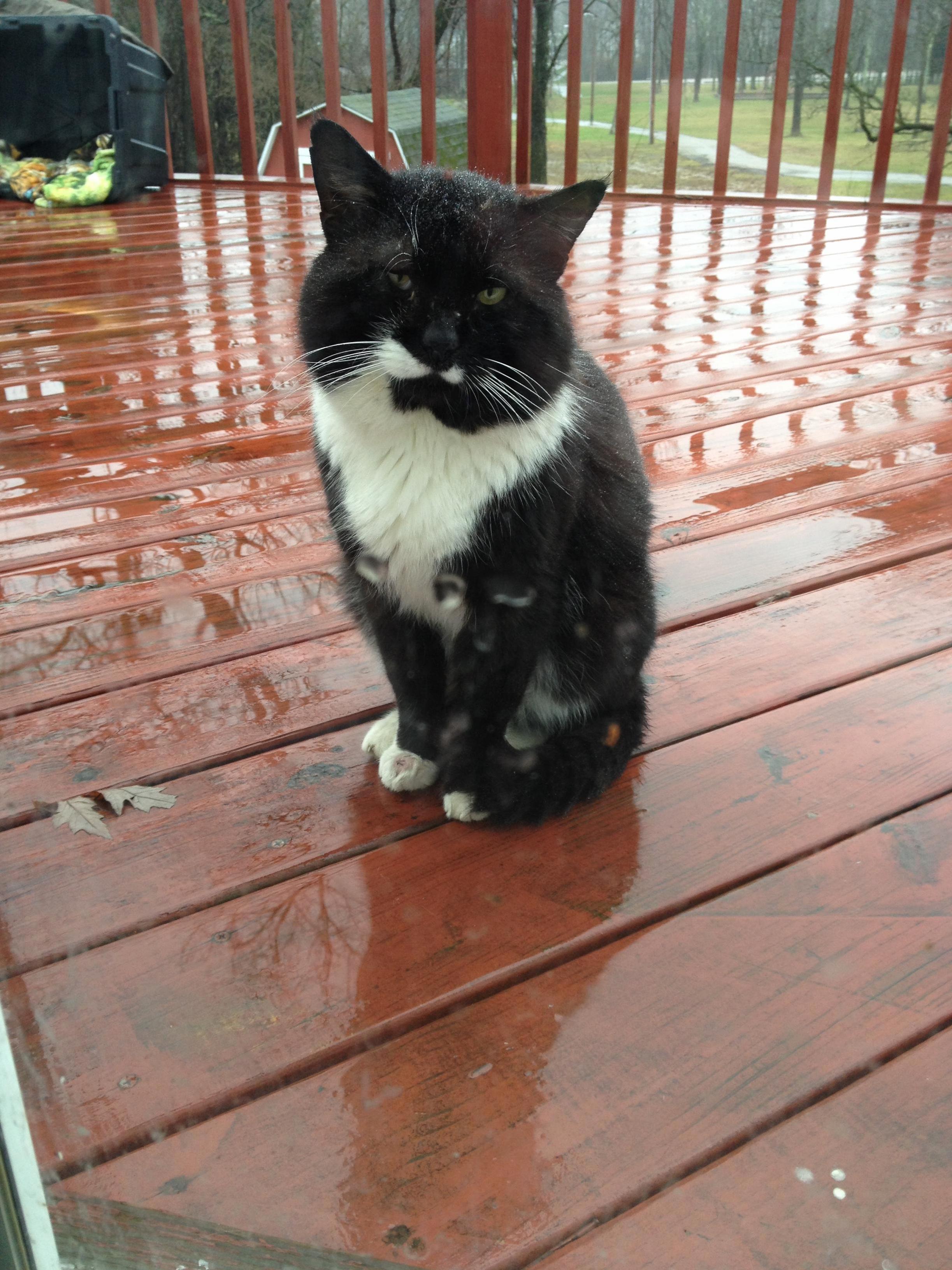 We Called Him Tunas Dad